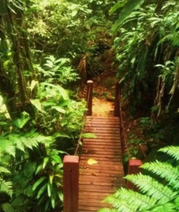 Hiking in Hotel Bosques do Massaguaçu