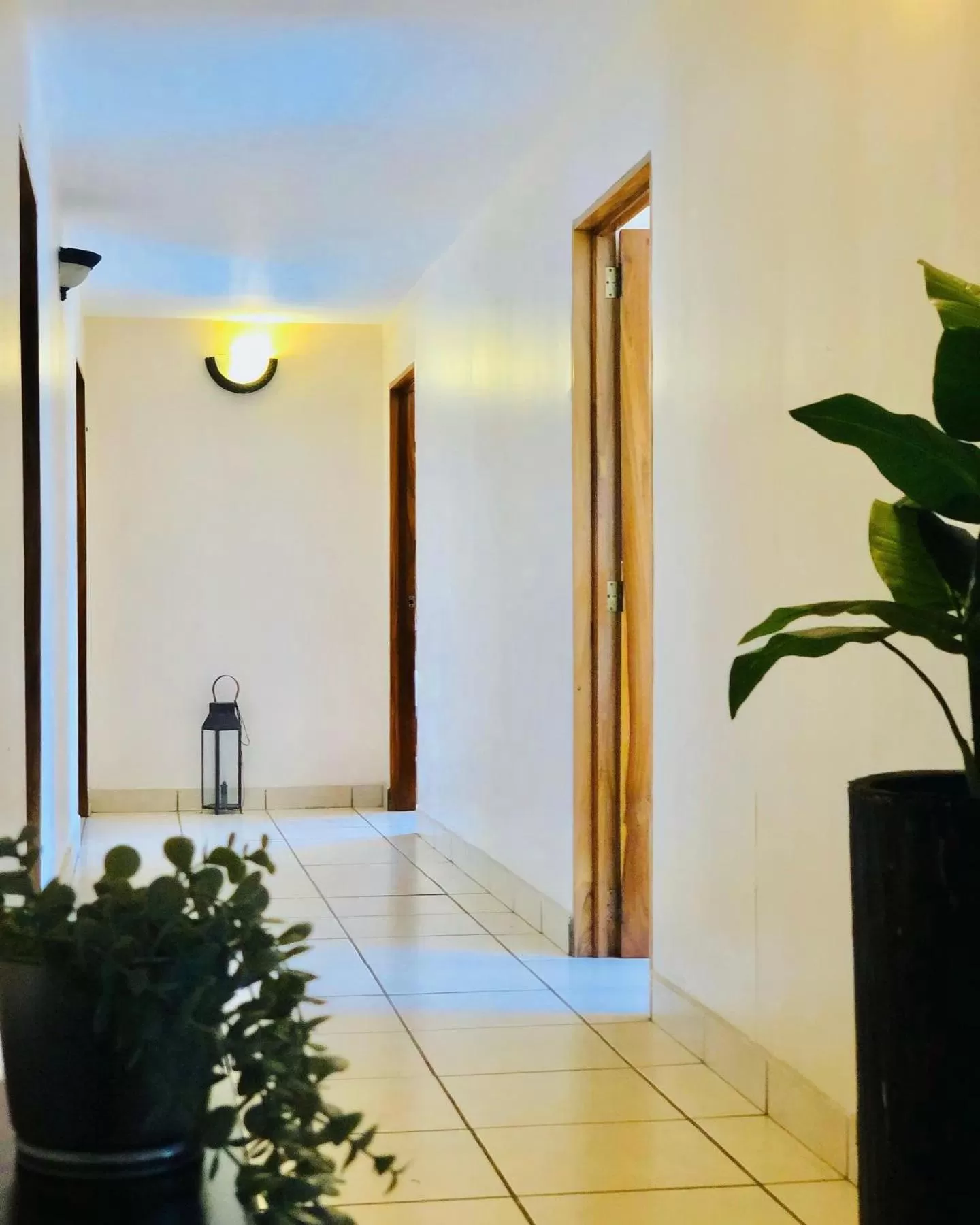 Property building in Hotel La Estación