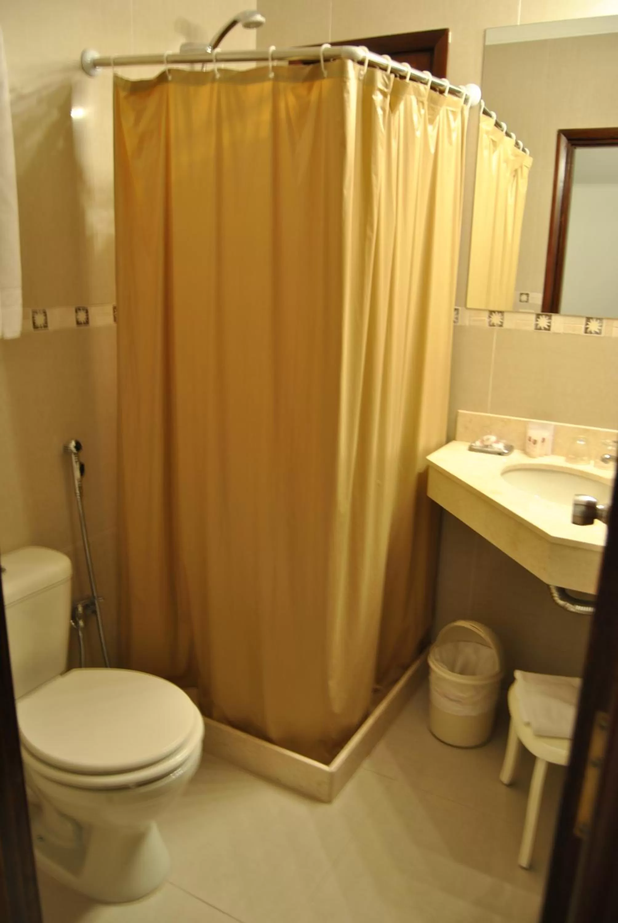 Toilet in Hotel Iberia