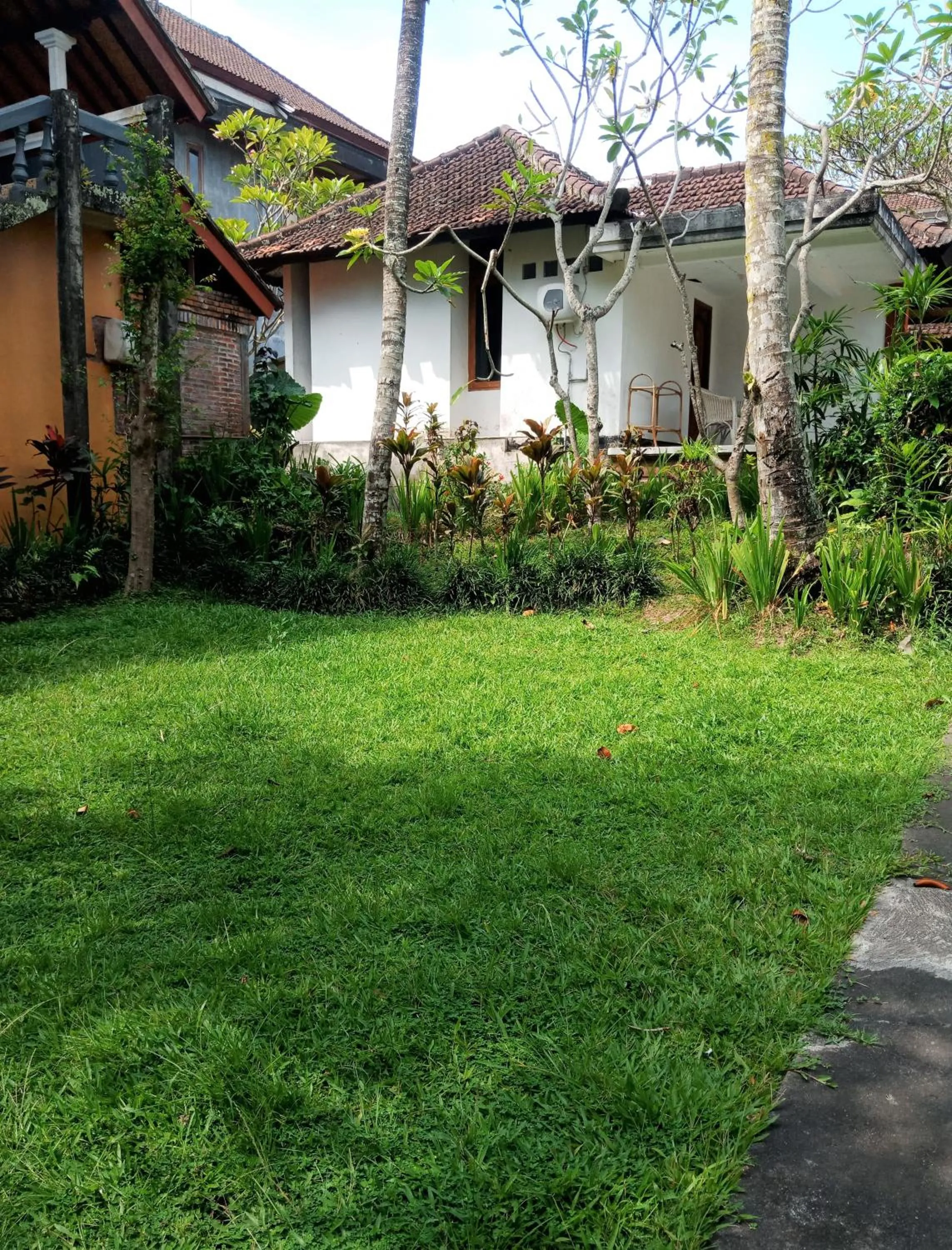 Garden in Argasoka Bungalows
