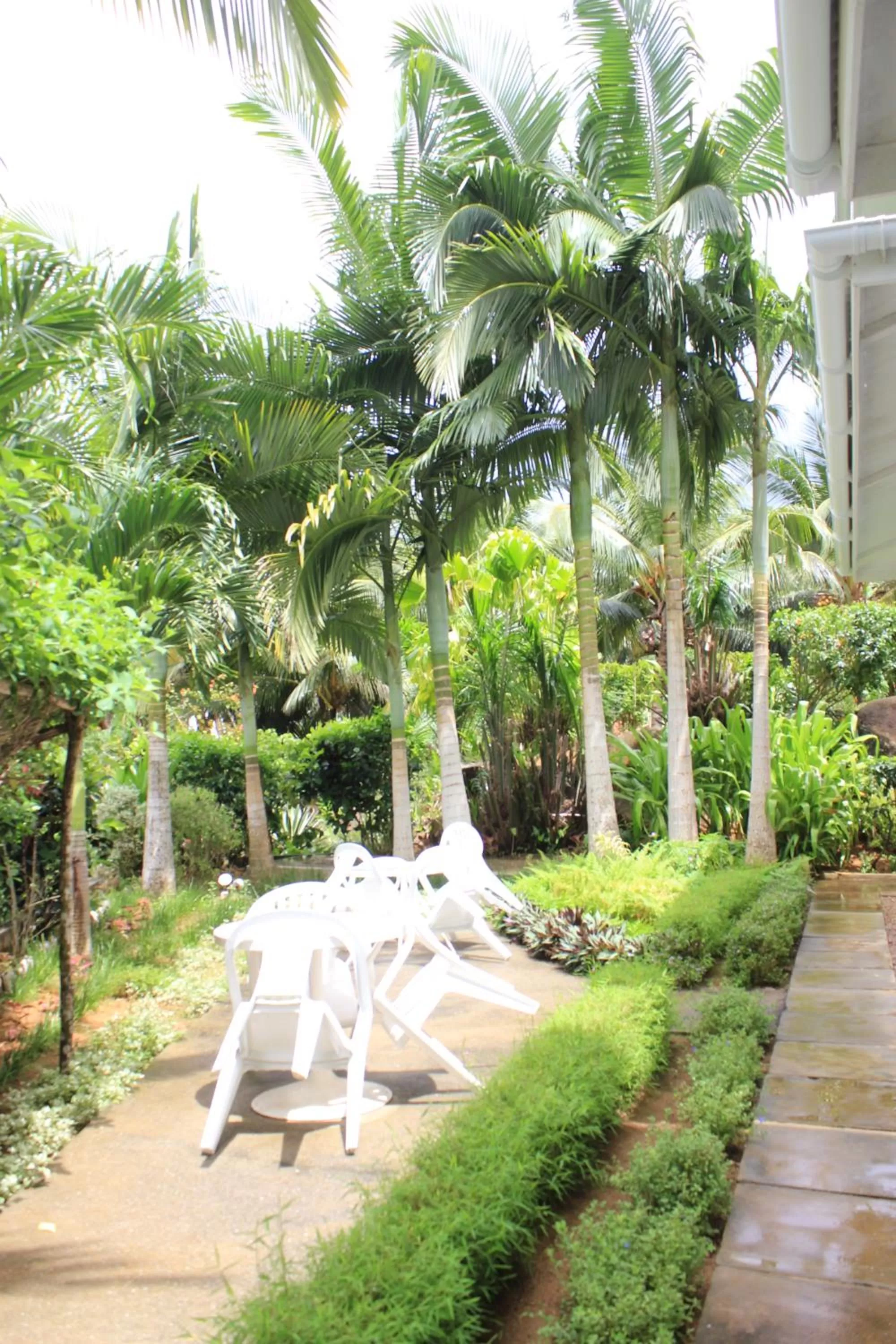 Garden view in Evergreen Apartments