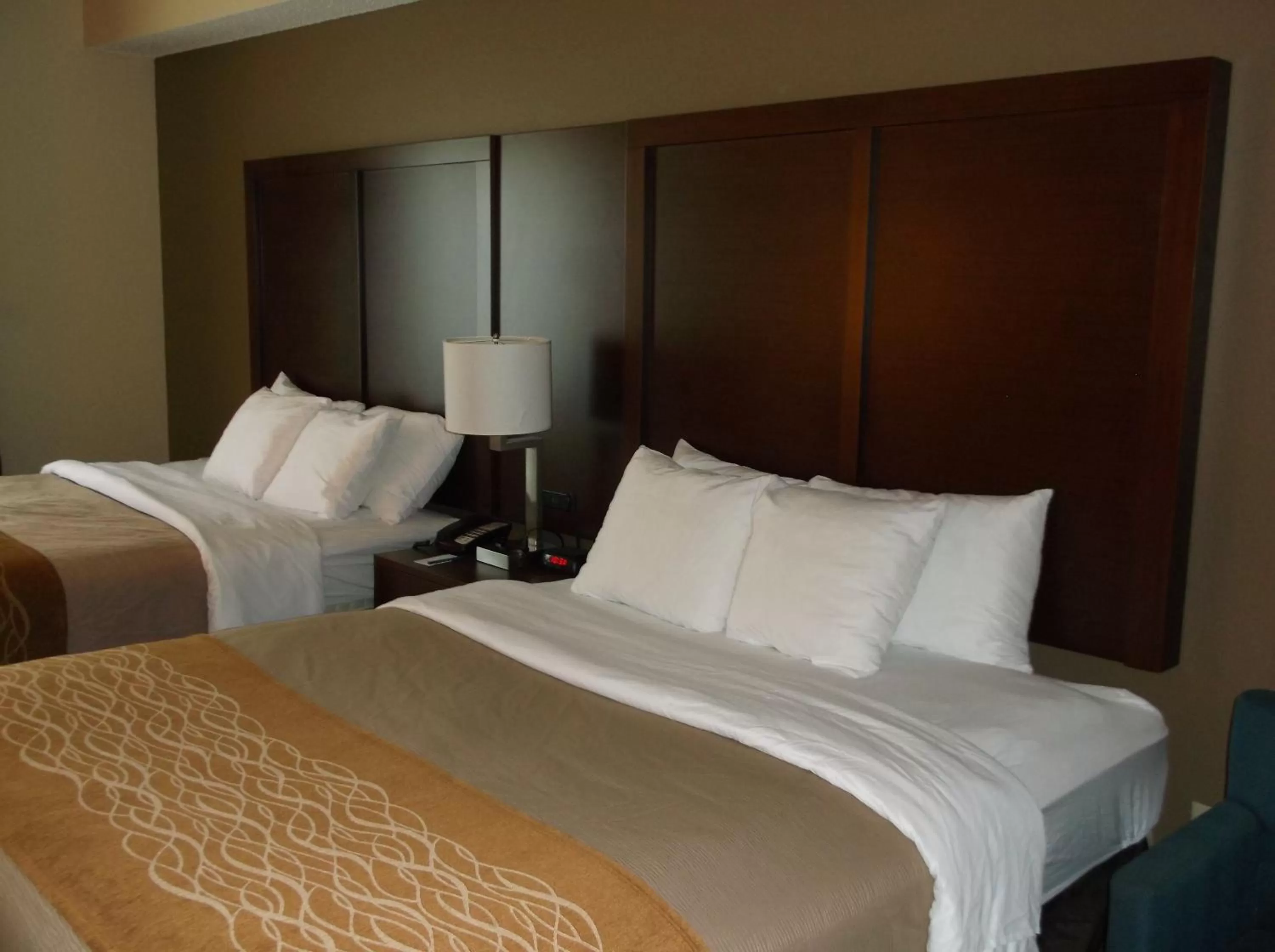 Bed in Comfort Inn & Suites Seguin