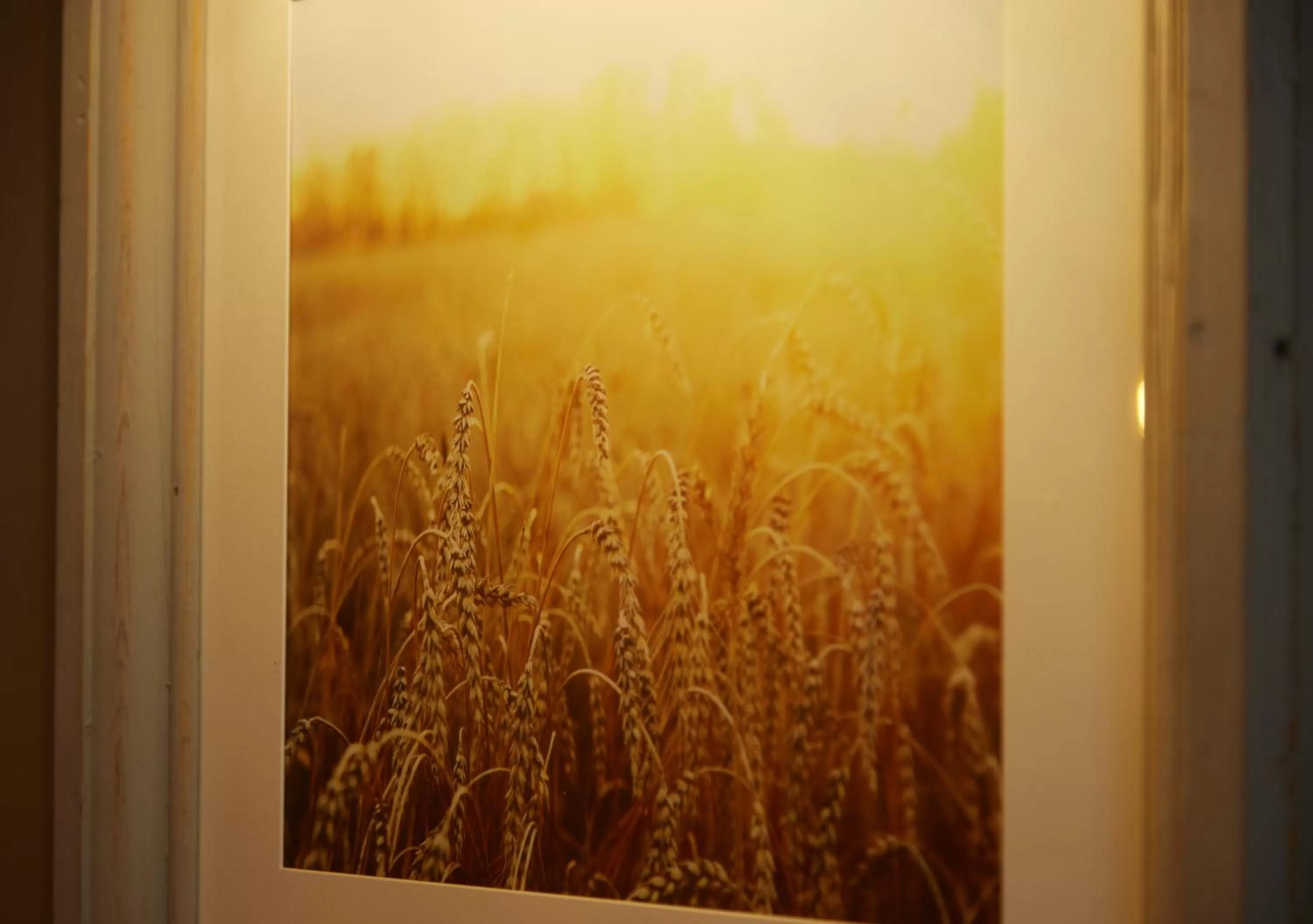 Decorative detail in Fieldhead Hotel by Greene King Inns