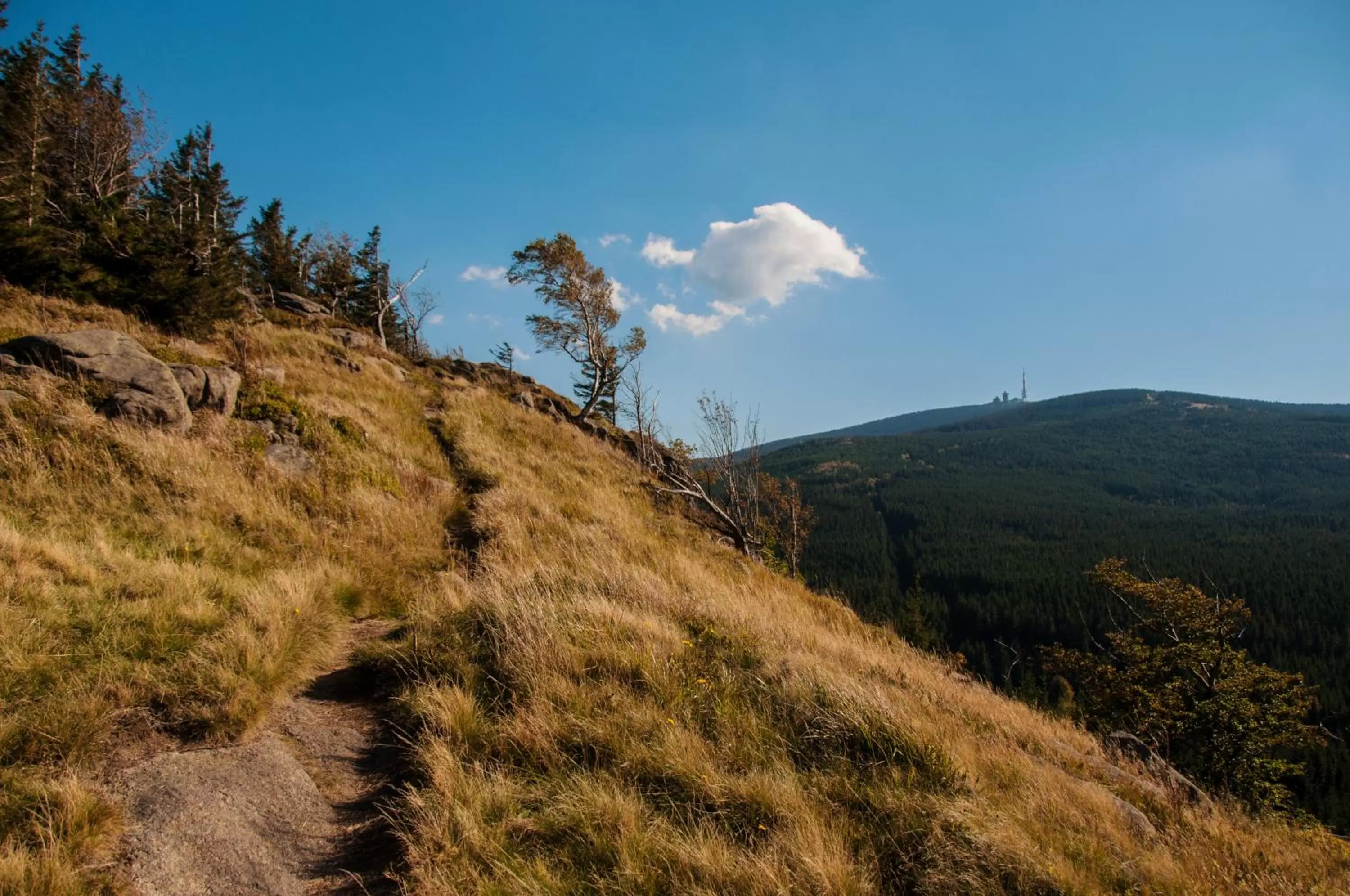 Day in Hotel Zum Harzer