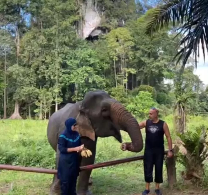 Animals in Khao Sok River & Jungle Resort