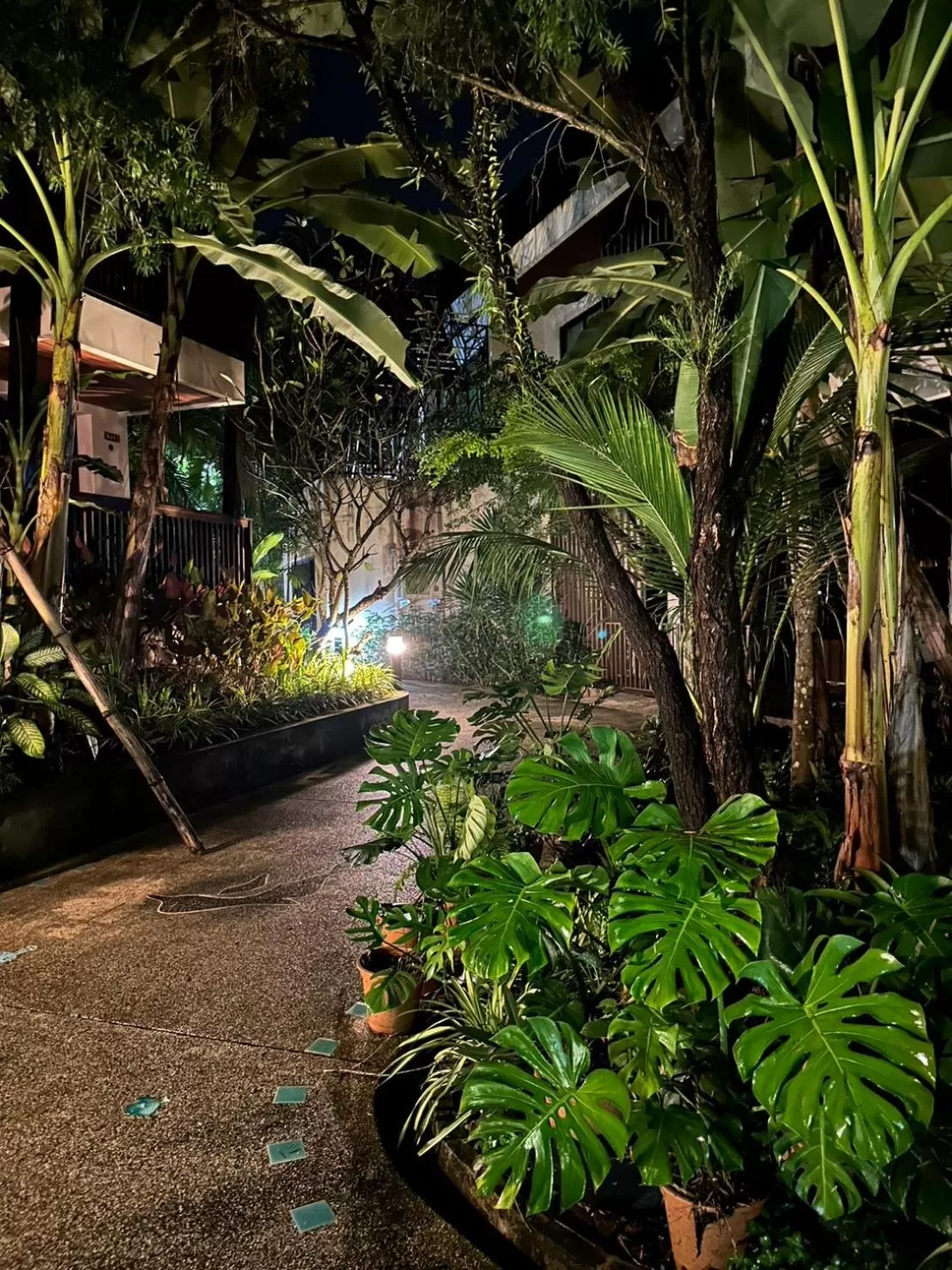 HULA HULA RESORT l truly tropical and fun wellness