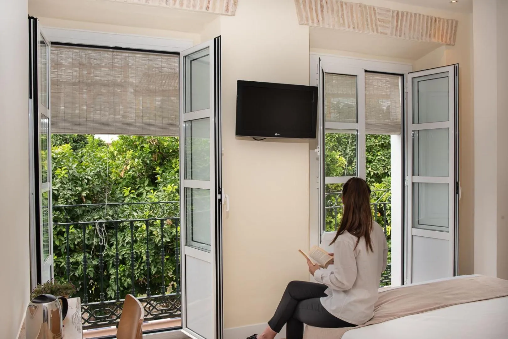 View (from property/room) in Hotel Boutique Elvira Plaza