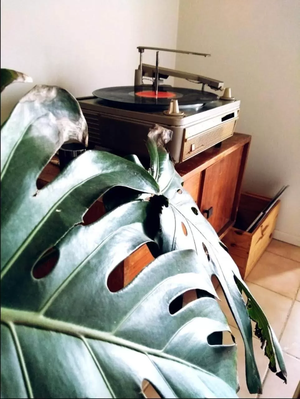 Trastienda Guest House