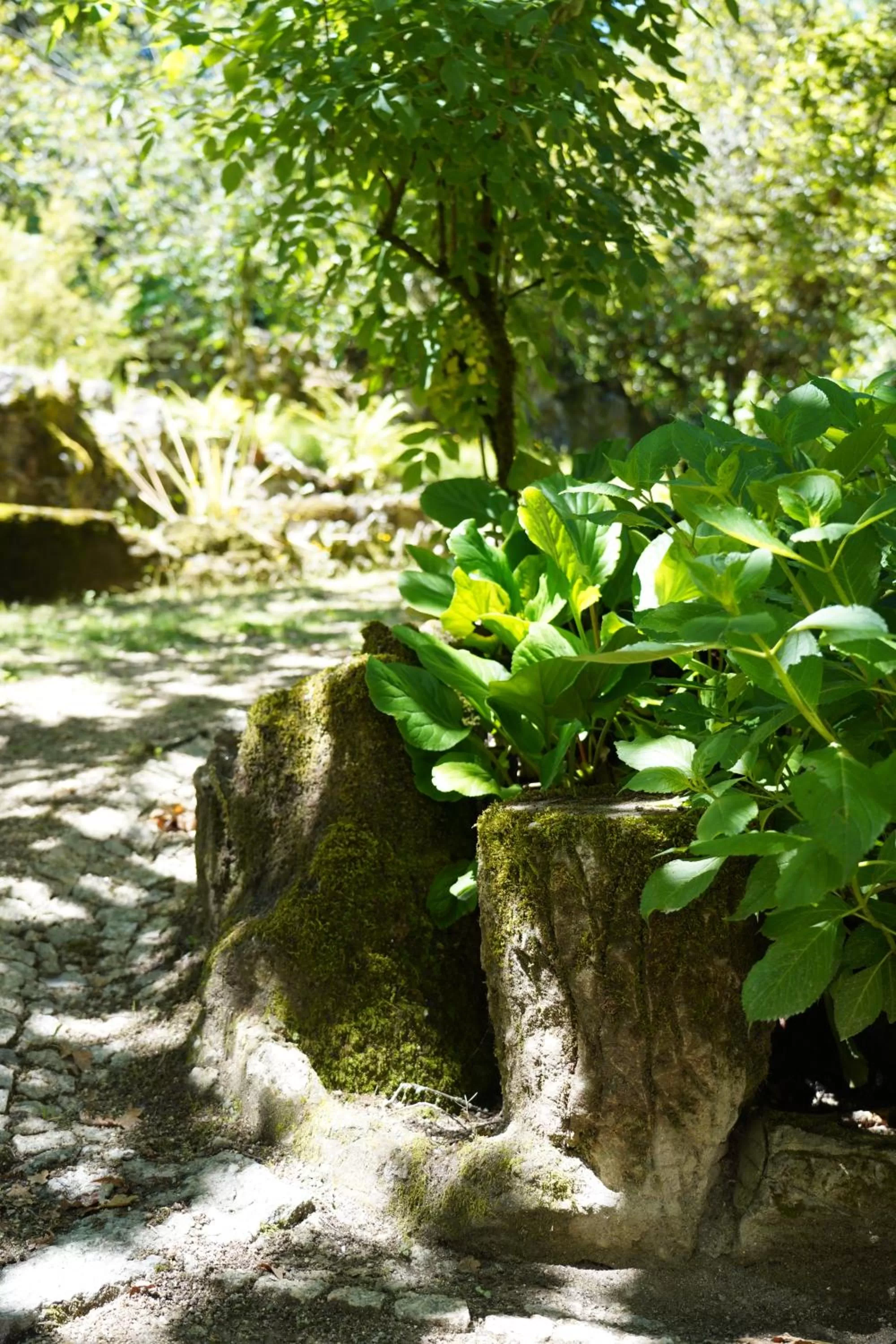 Natural landscape in The Grove Houses