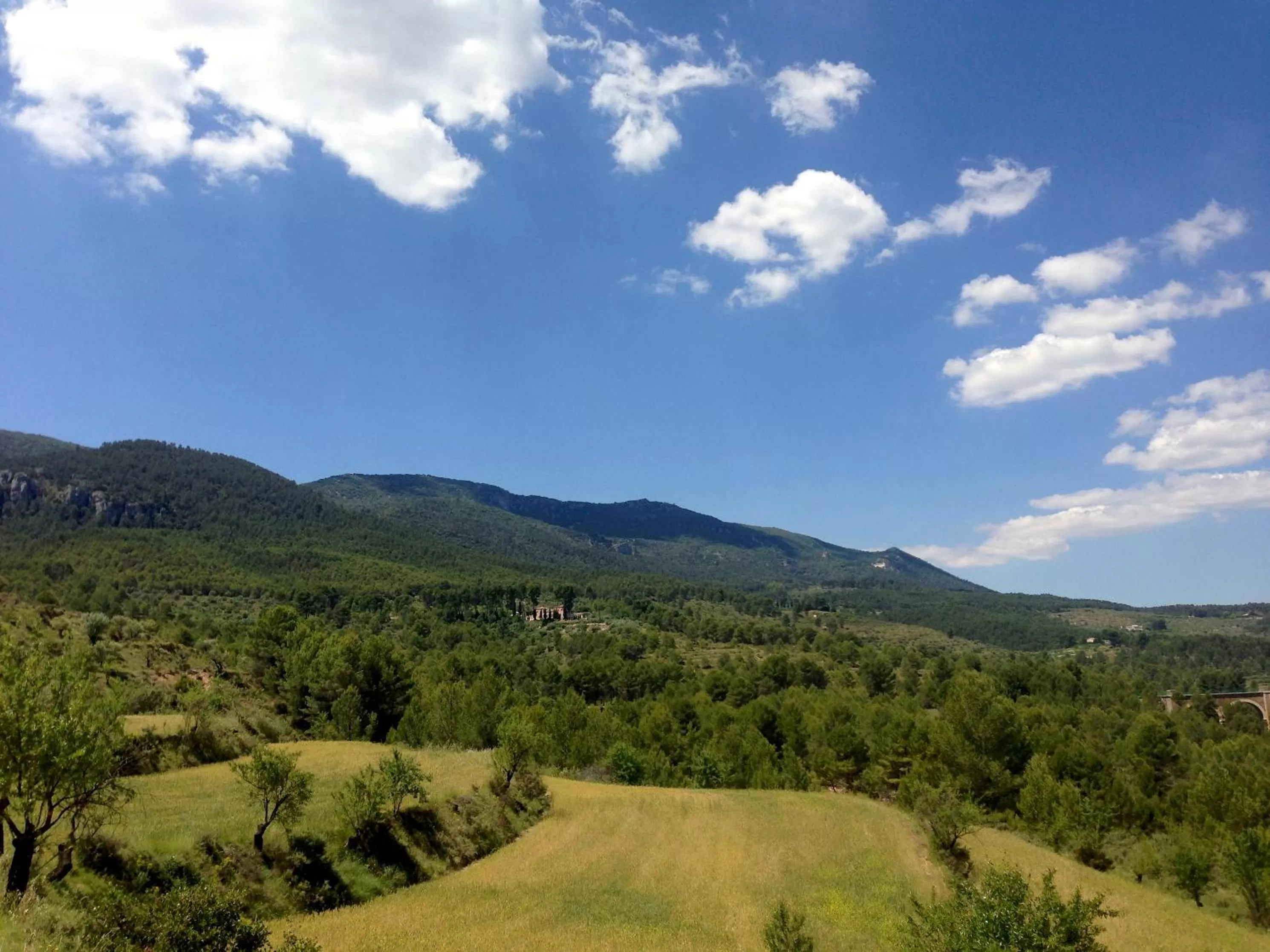 Natural landscape in Eco Hotel con encanto Masía la Mota B&B