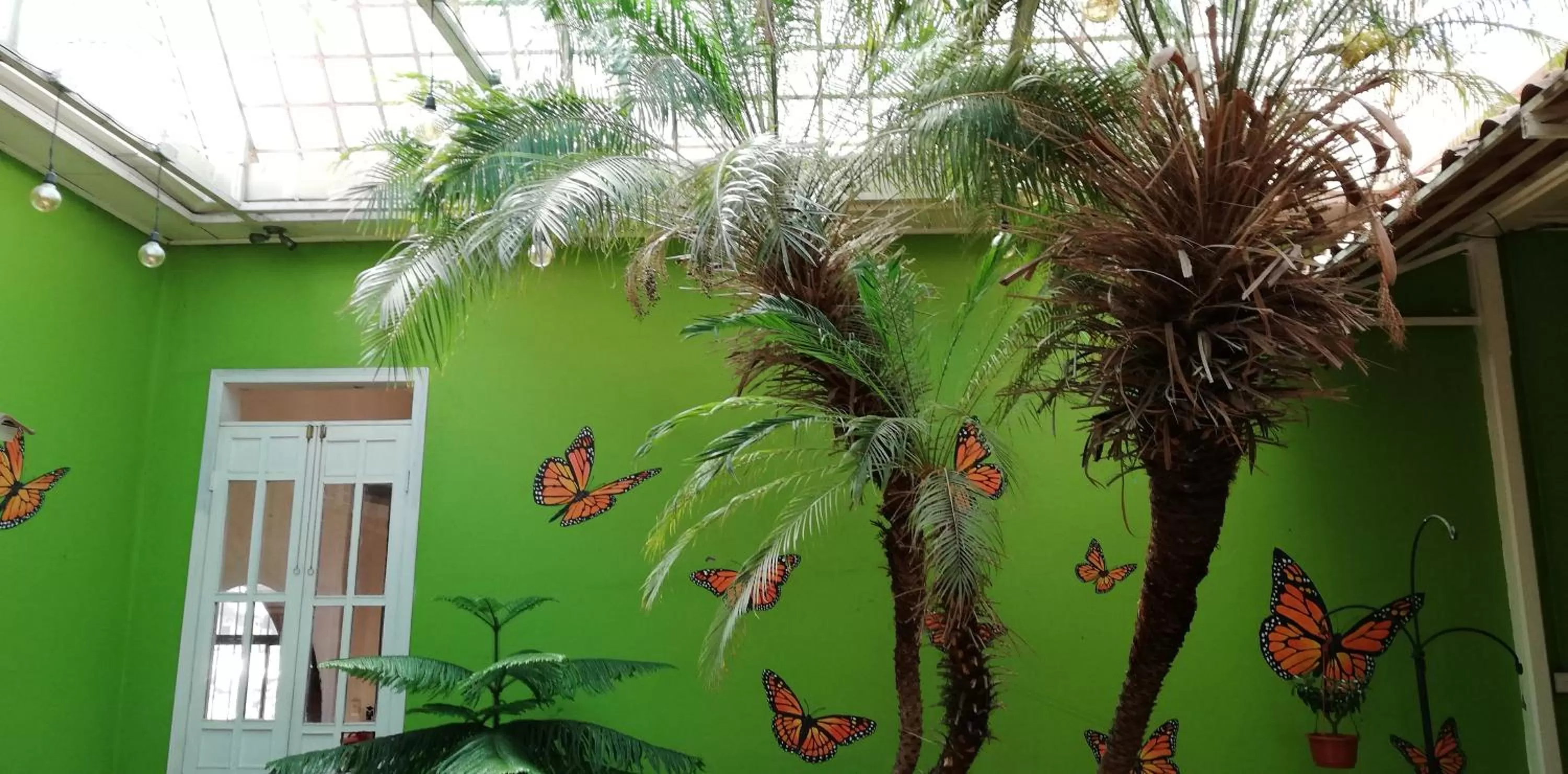 Casa Mayela Guest House