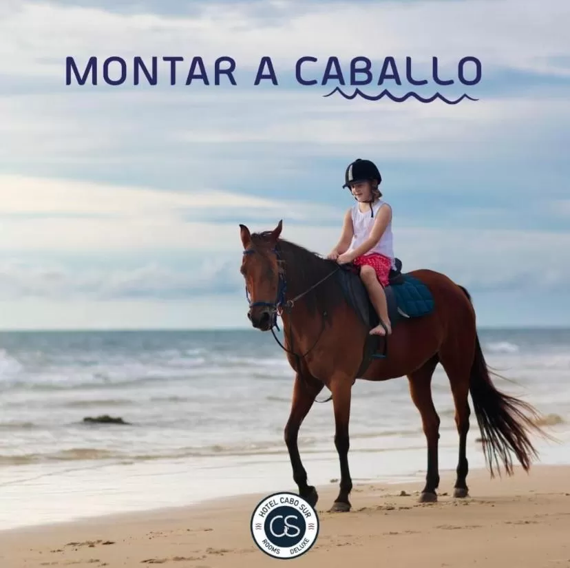 Horseback Riding in HOTEL BOUTIQUE CABO SUR