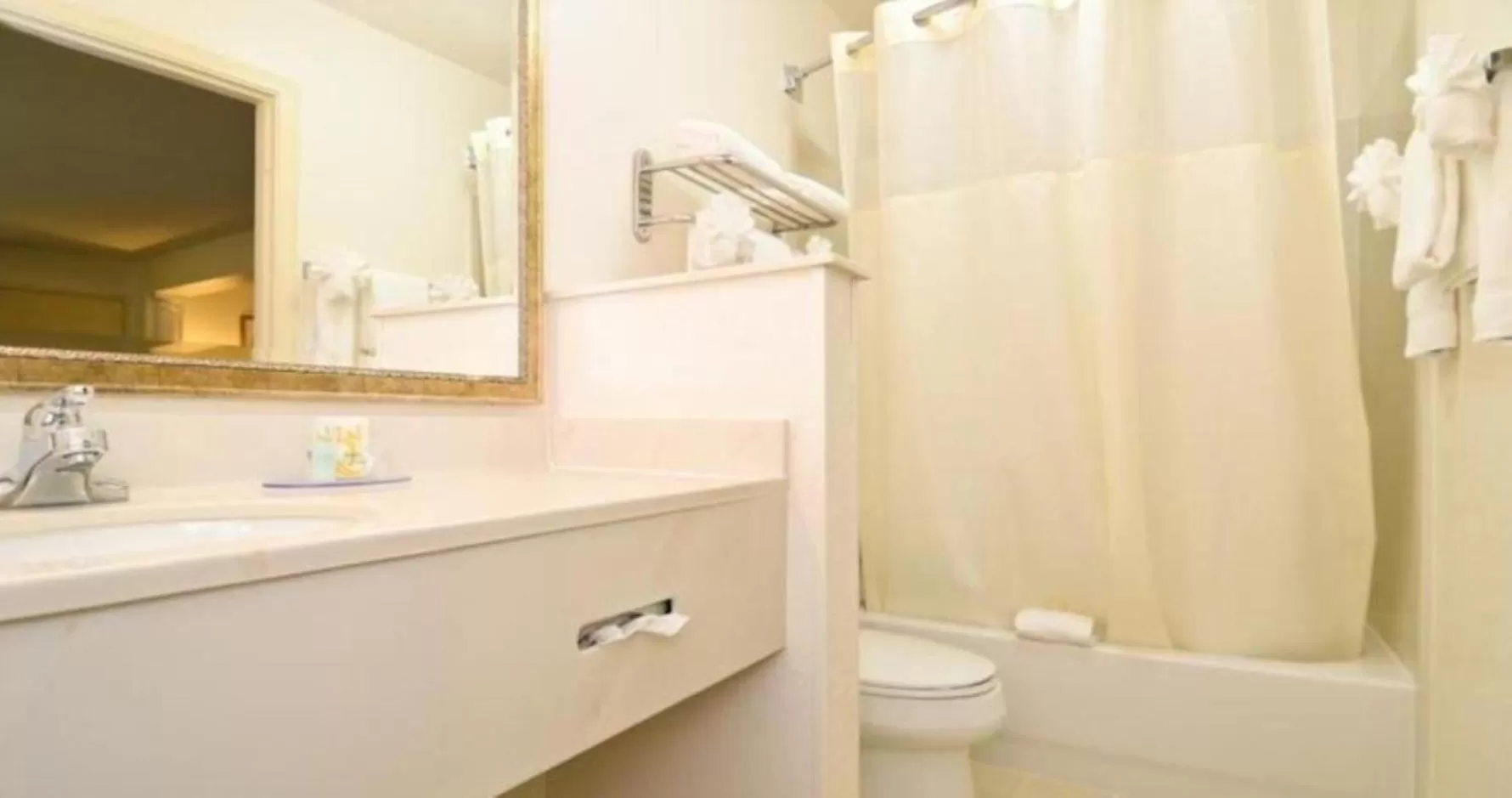 Bathroom in Quality Inn & Suites Biltmore East