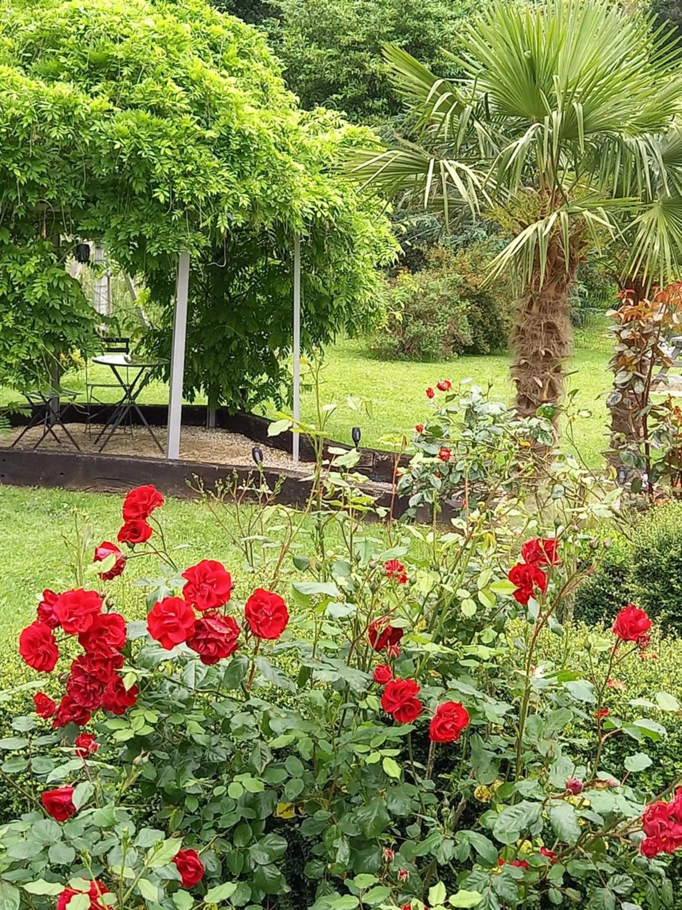 Garden in chambres et gites d'étretat