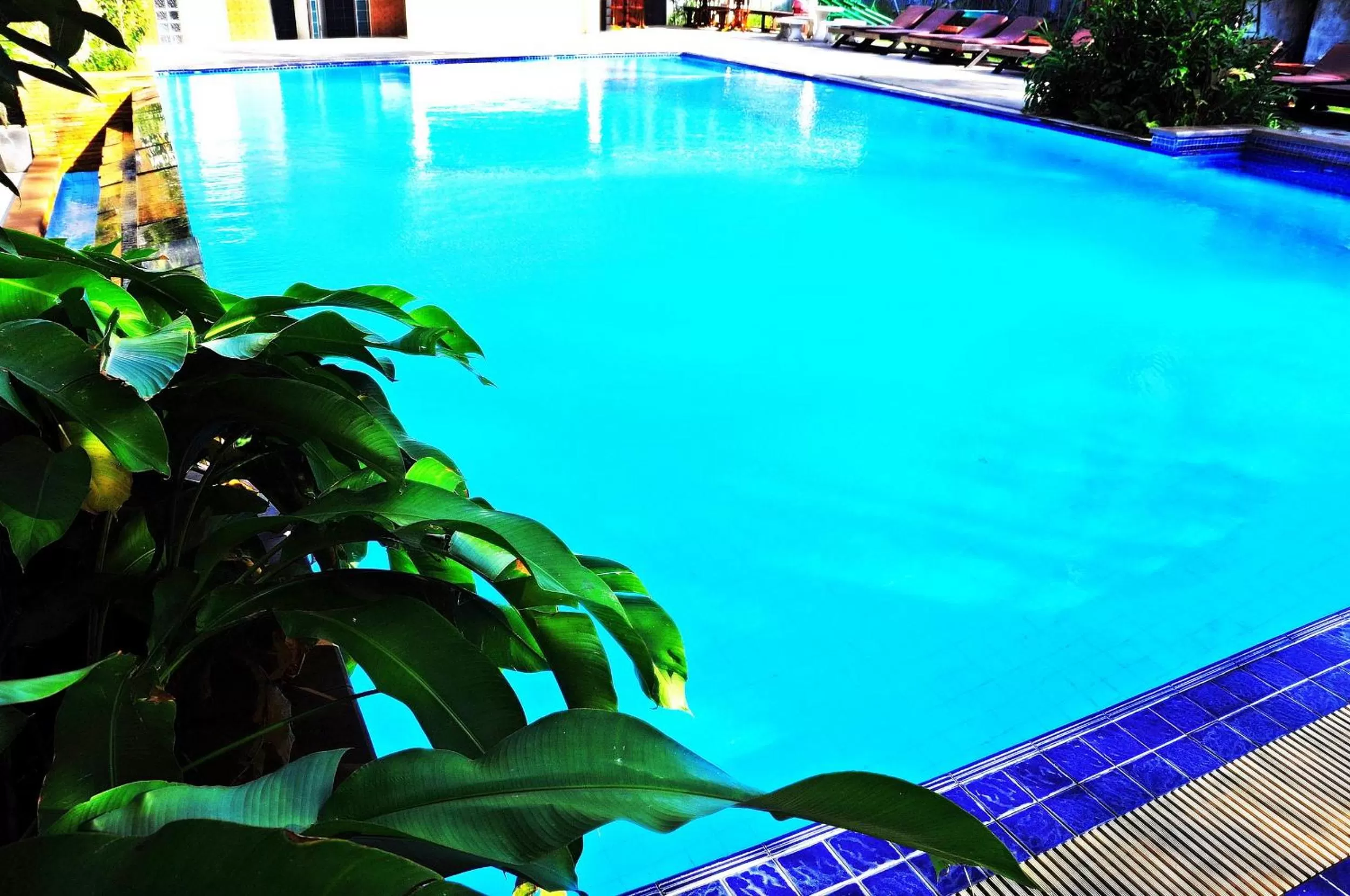 Swimming pool in Alina Grande Hotel & Resort