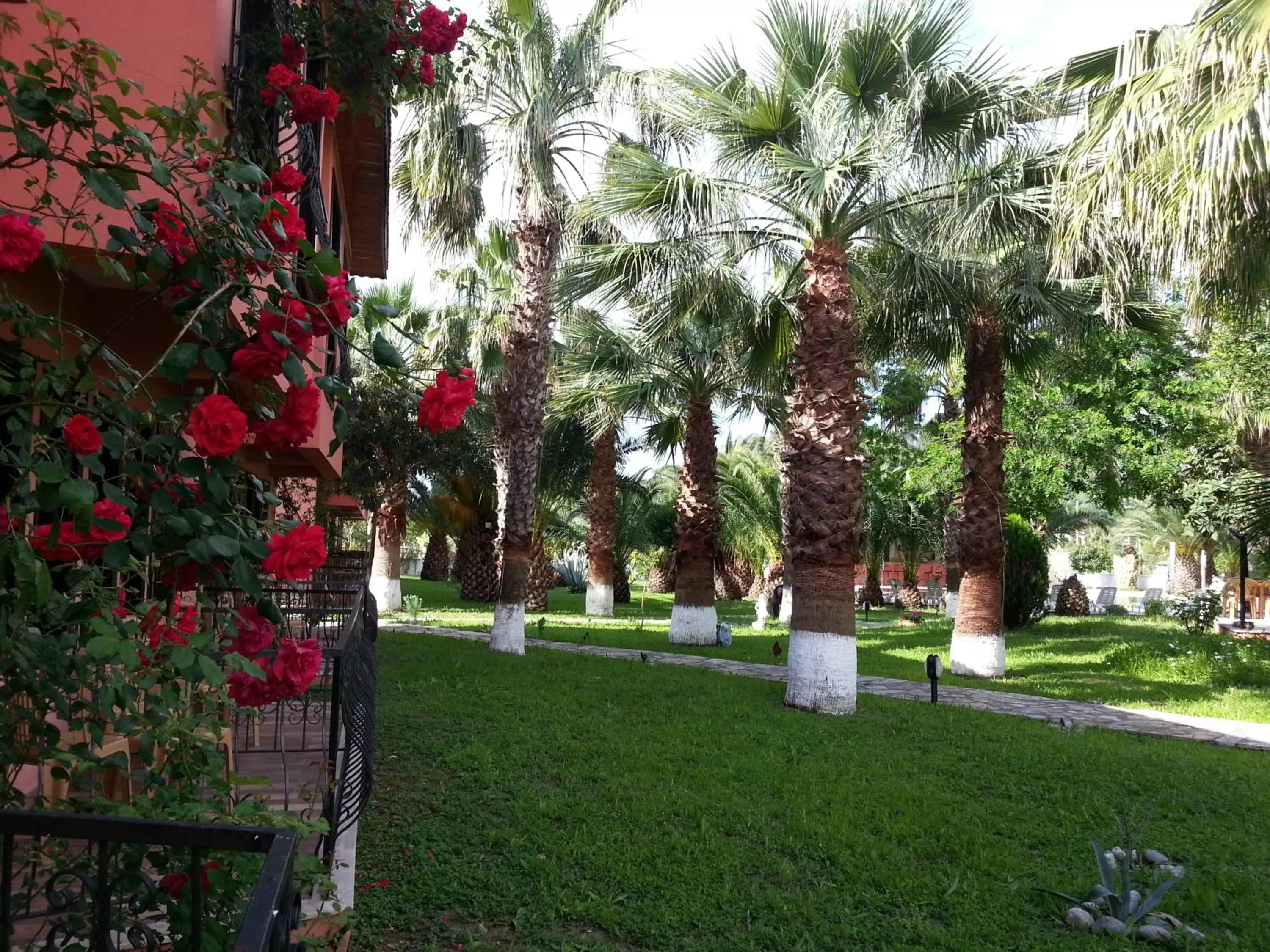 Garden in Hotel Palme Dalyan
