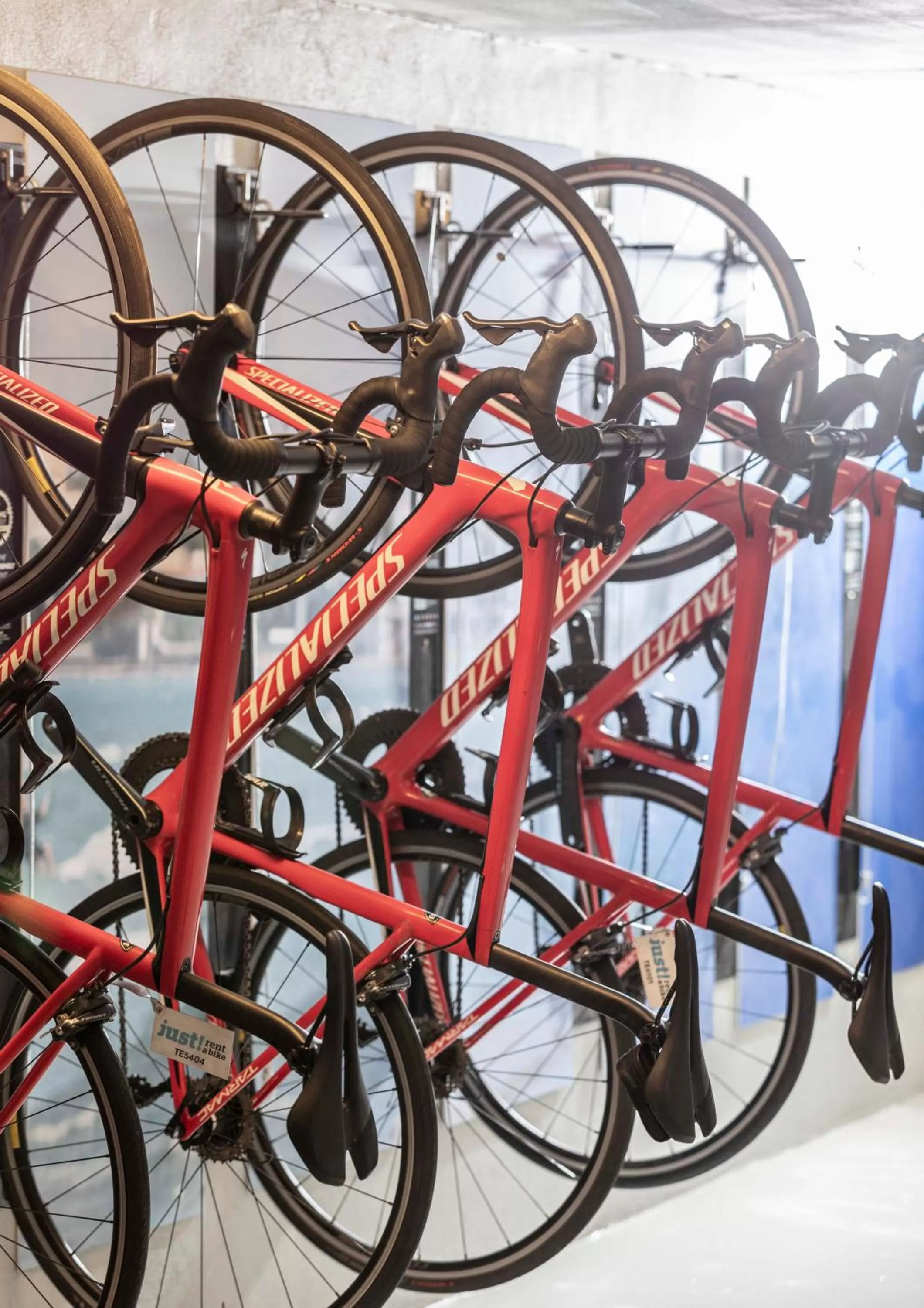 Cycling in PortBlue Club Pollentia Resort & Spa