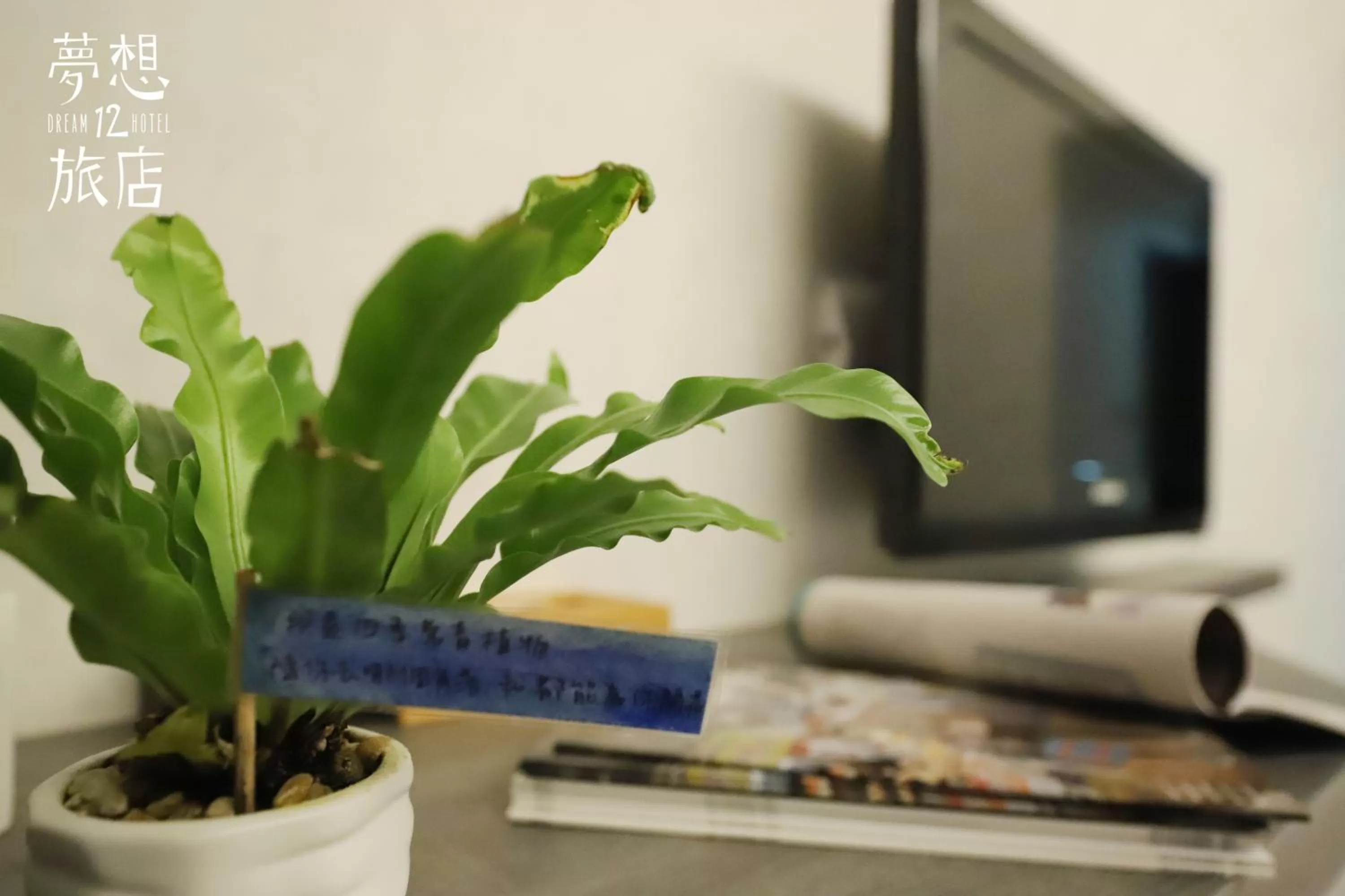 Decorative detail in Dream 12 Hotel