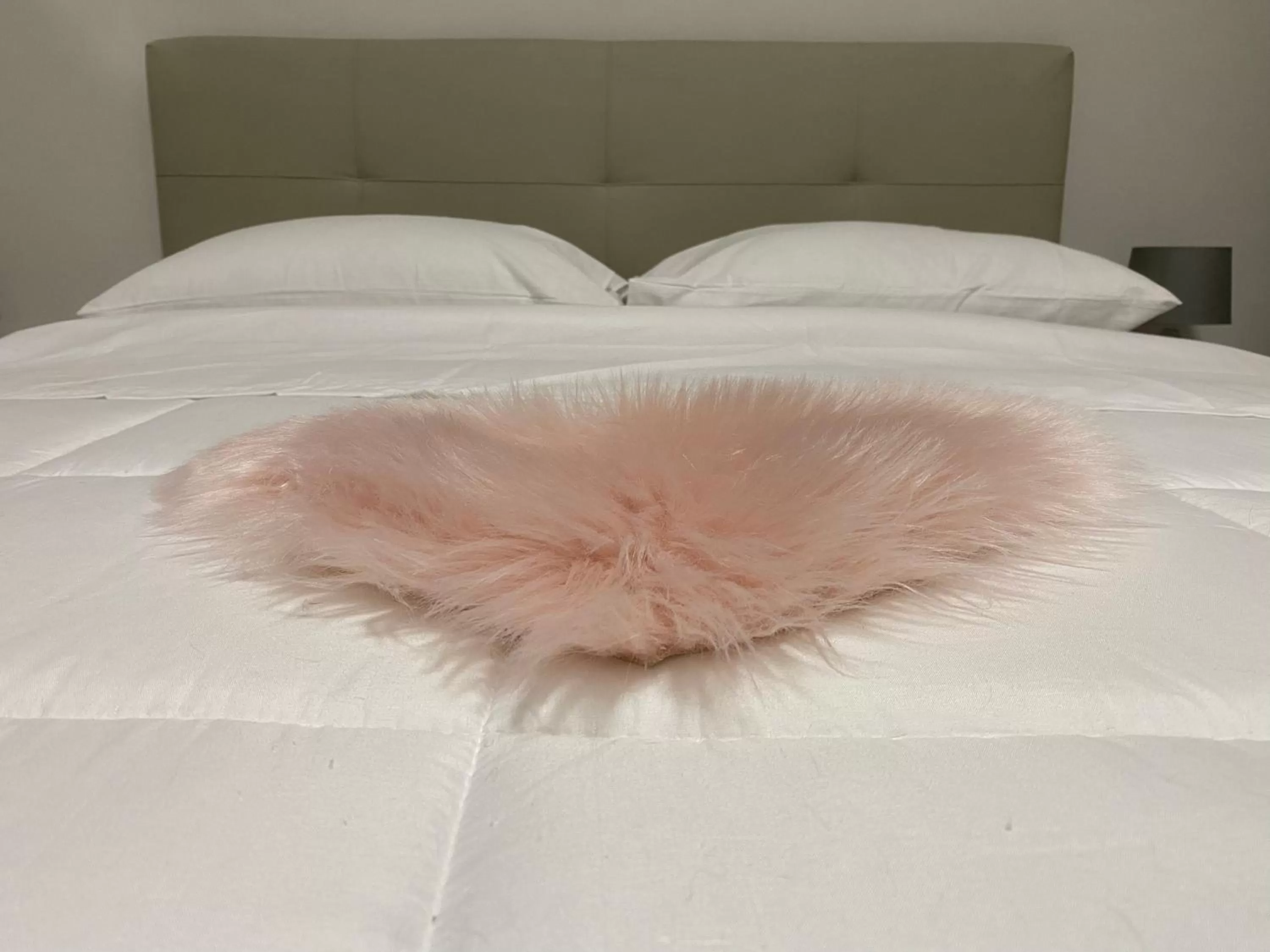 Photo of the whole room, Bed in B&B Alpaca Biella