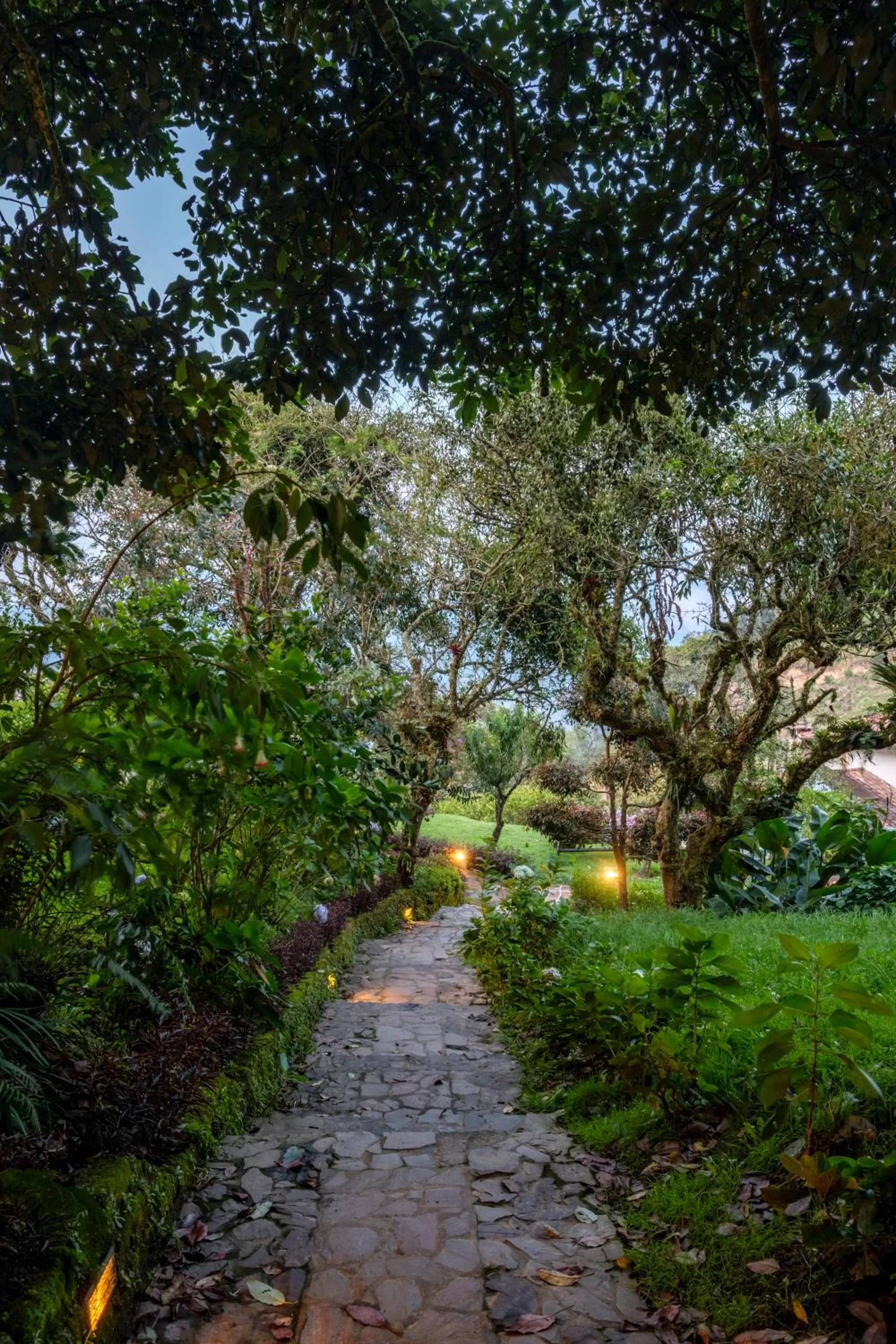 Garden in Luna Volcán, Adventure SPA