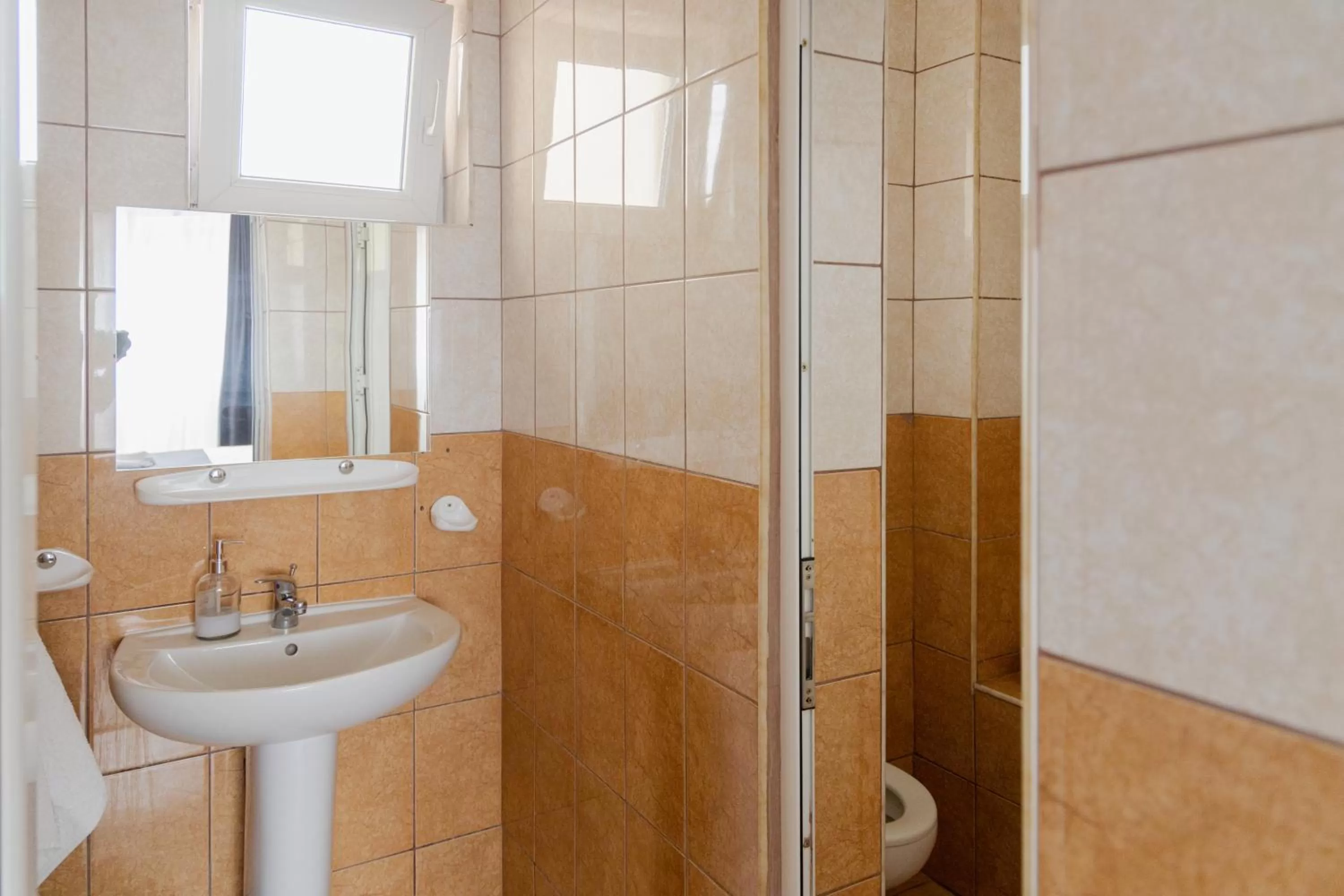 Bathroom in Pensiunea Pictorilor