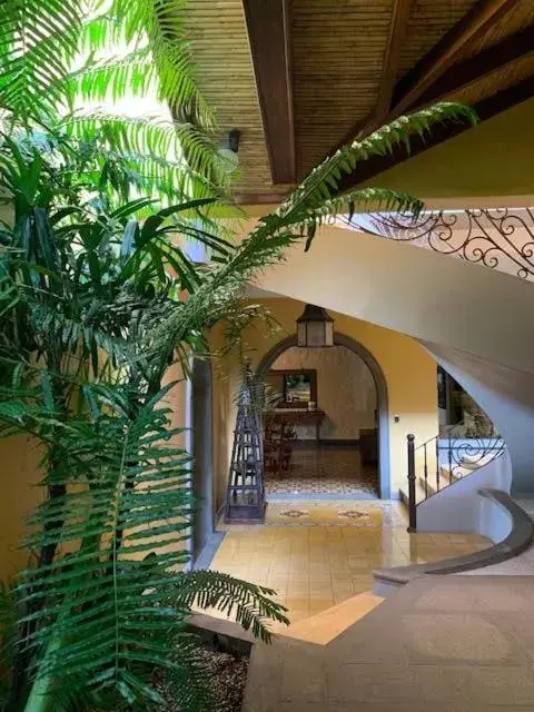 Hotel 1915 INN & SUITES Hotel 1915 INN & SUITES