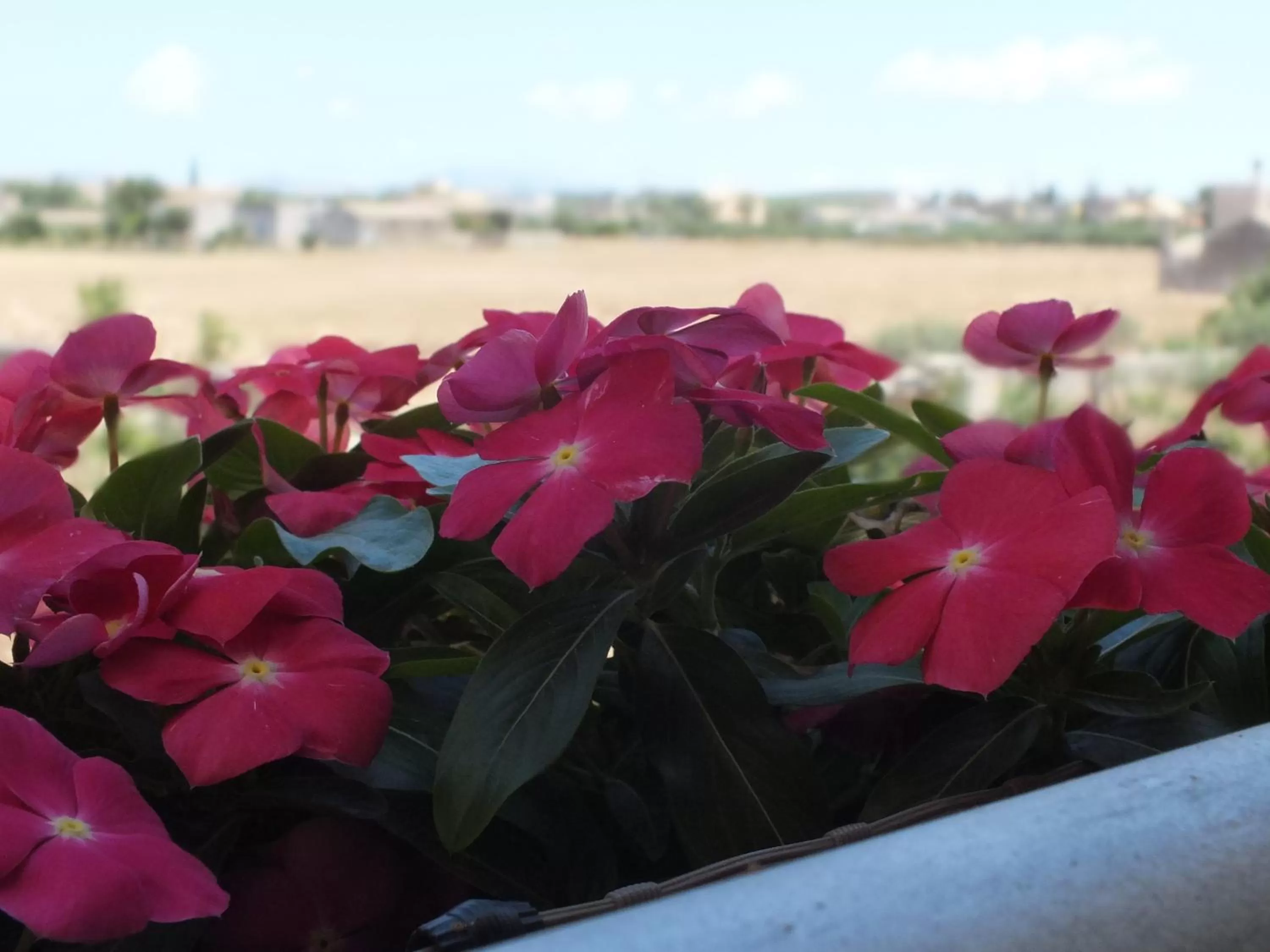 Balcony/Terrace in SiciliAntica