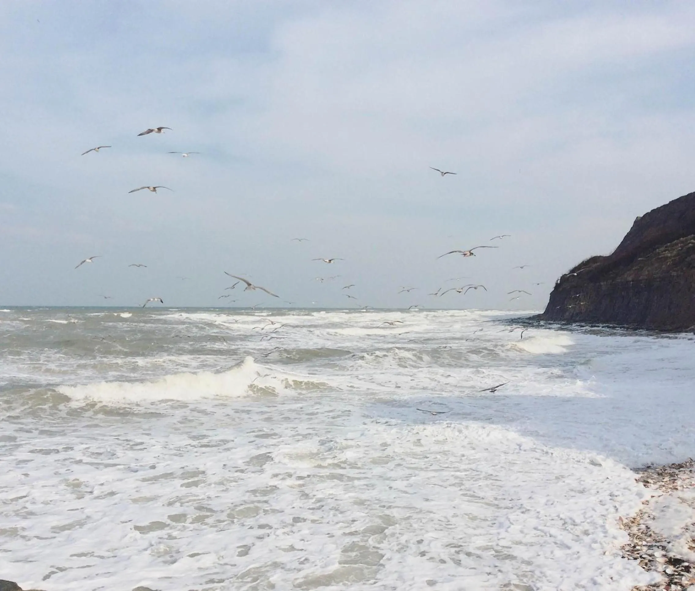 Natural landscape in ibis Bayeux Port En Bessin