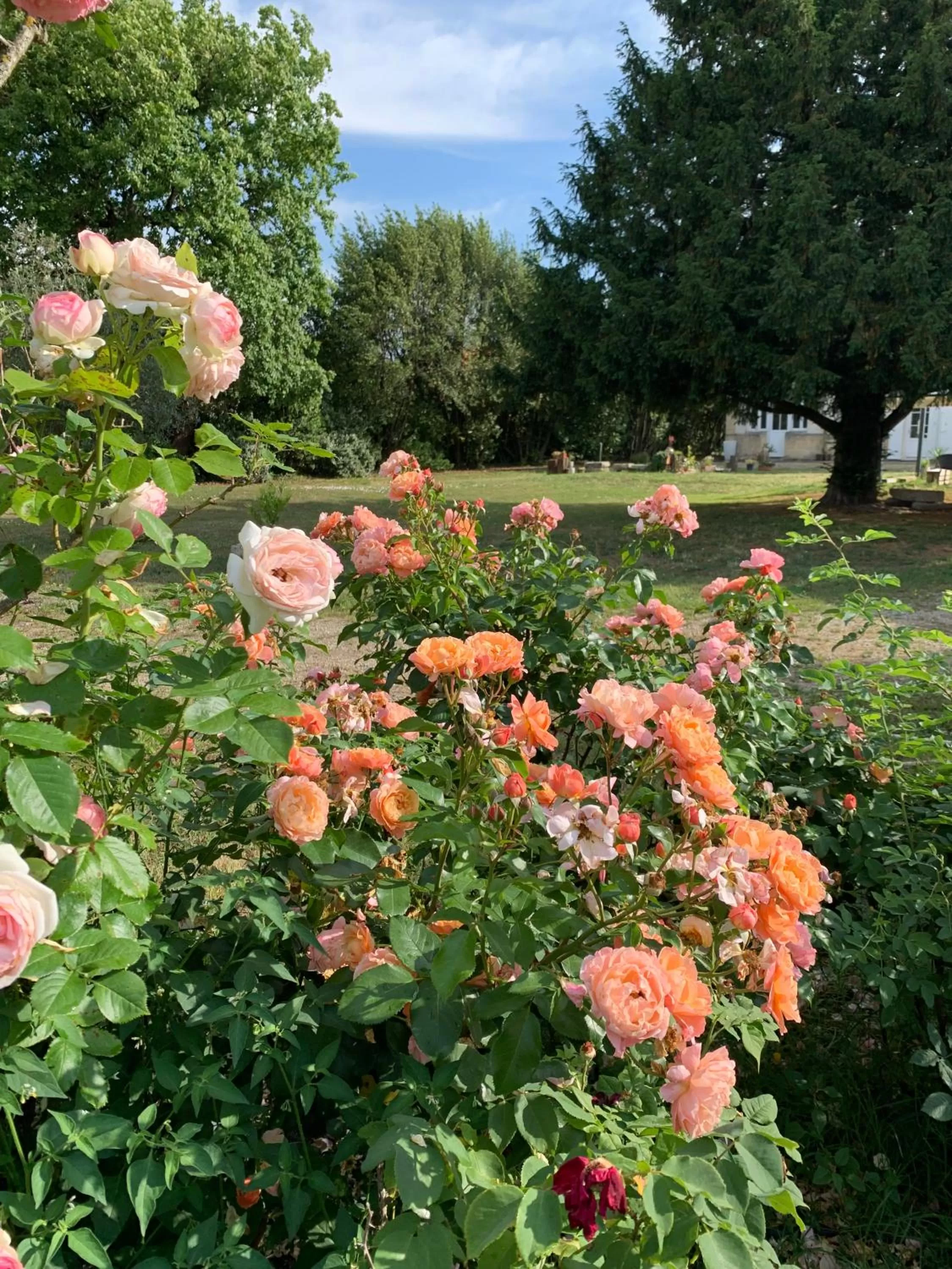 Garden view, Garden in Suite privative Abella - Aile de maison bourgeoise