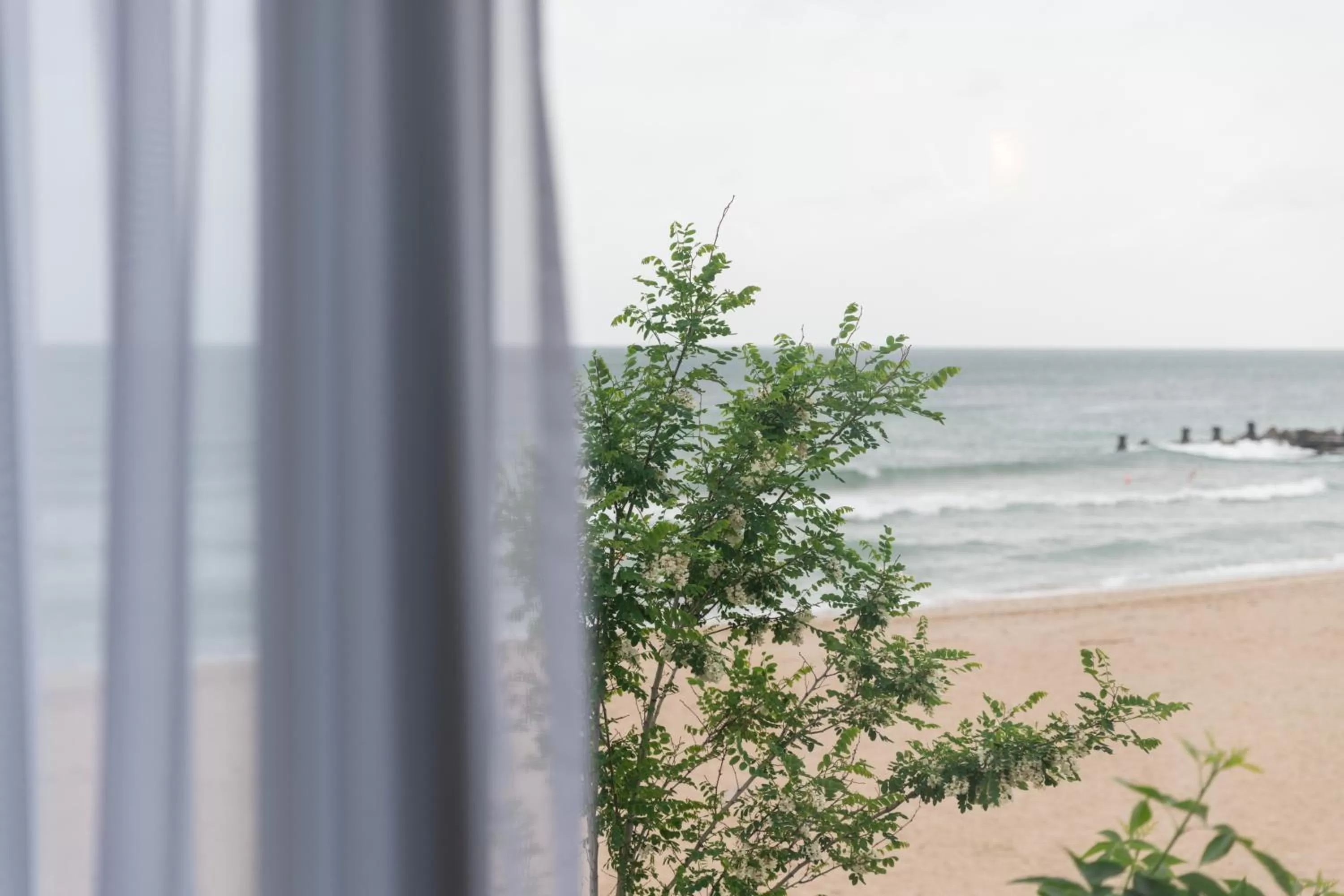 Sea view in Avenue Palm Eforie - Avenue Hotels