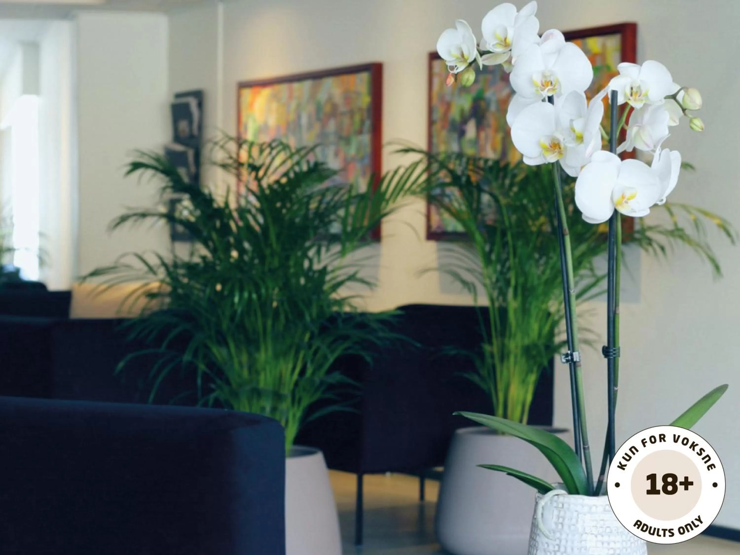 Ærø Hotel - Adults only