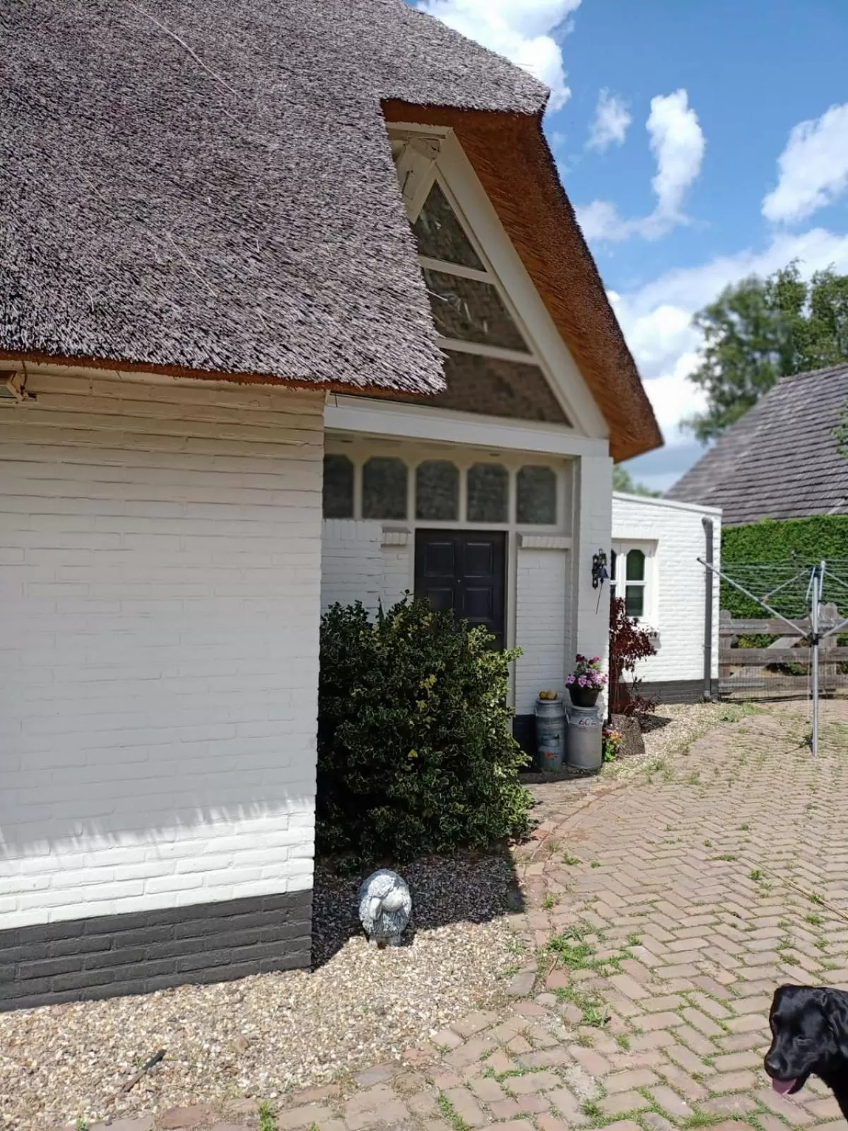 View (from property/room) in Bij de Vlaamse Schuur