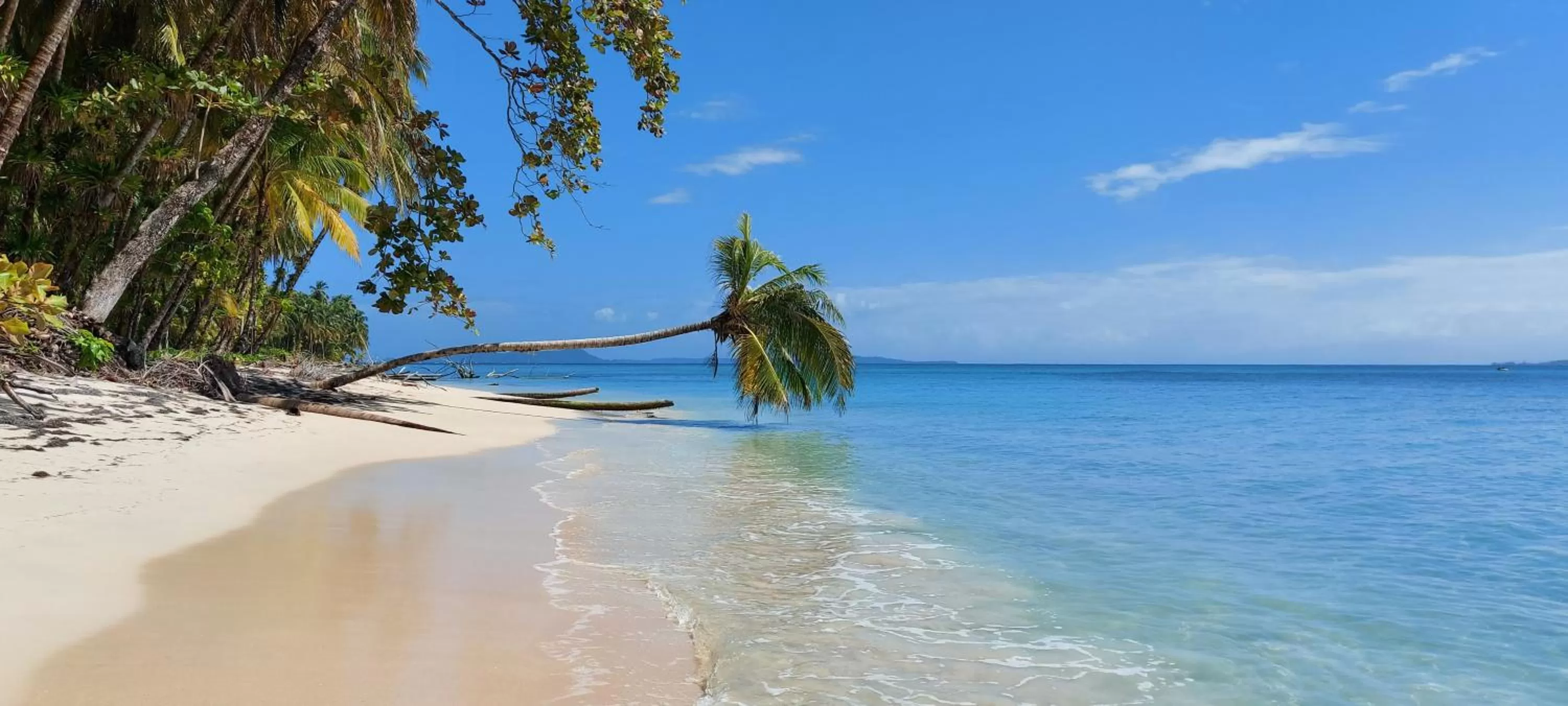 Beach in The Sunsetter Bed & Breakfast