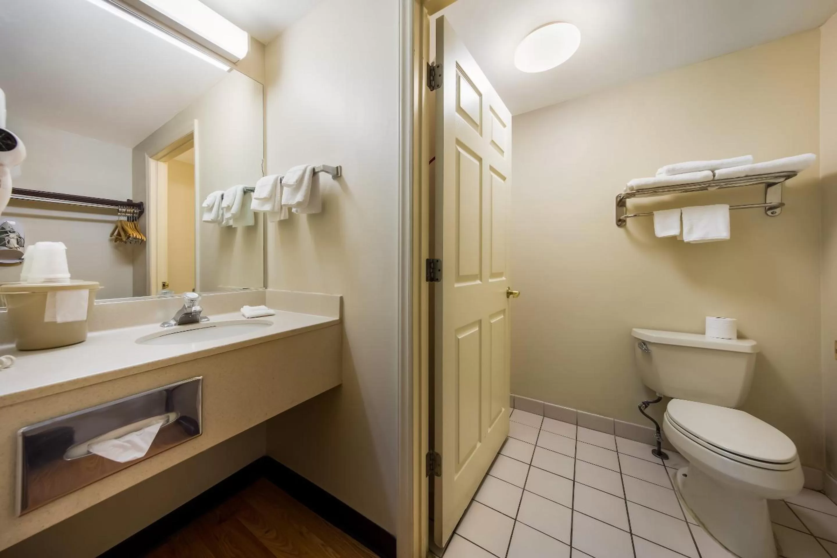 Bathroom in Red Roof Inn Hendersonville