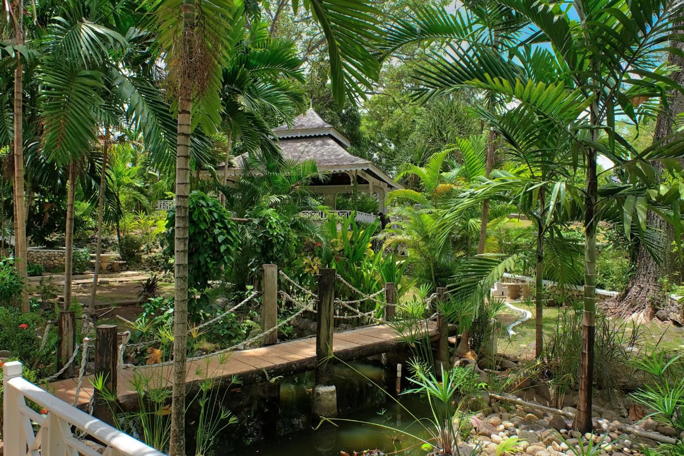 Garden in Hibiscus Lodge Hotel
