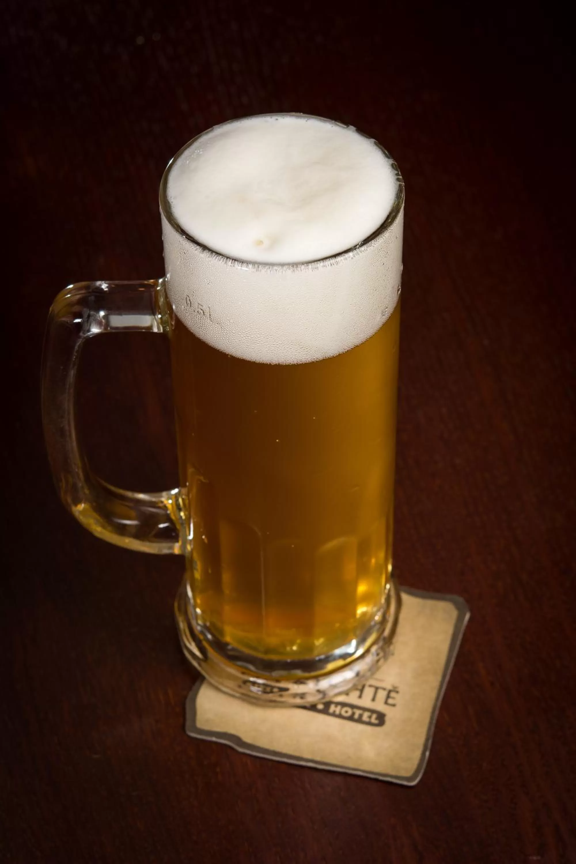 Drinks in Pivovar Hotel Na Rychtě