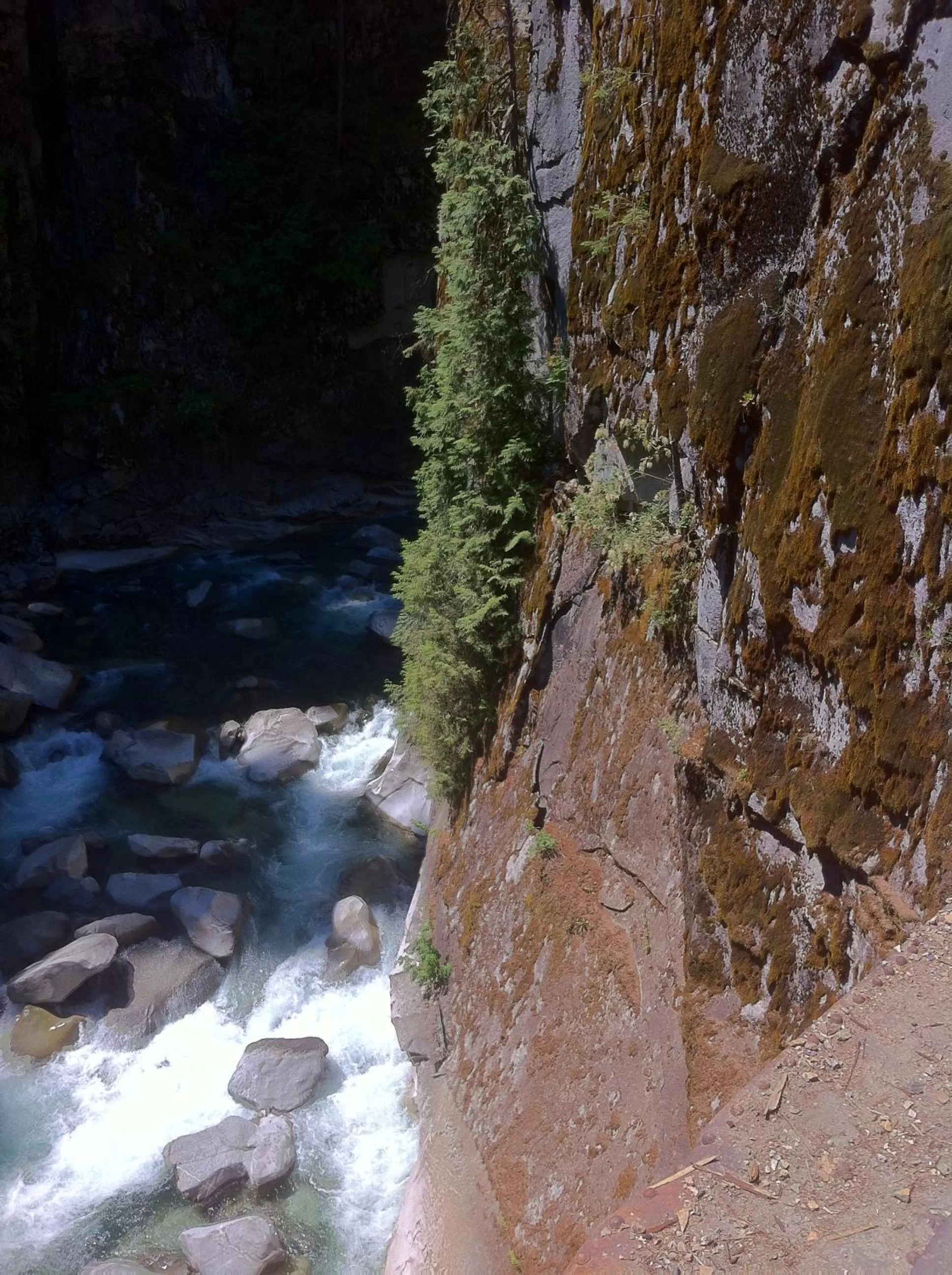 Activities in Evergreen Bed & Breakfast