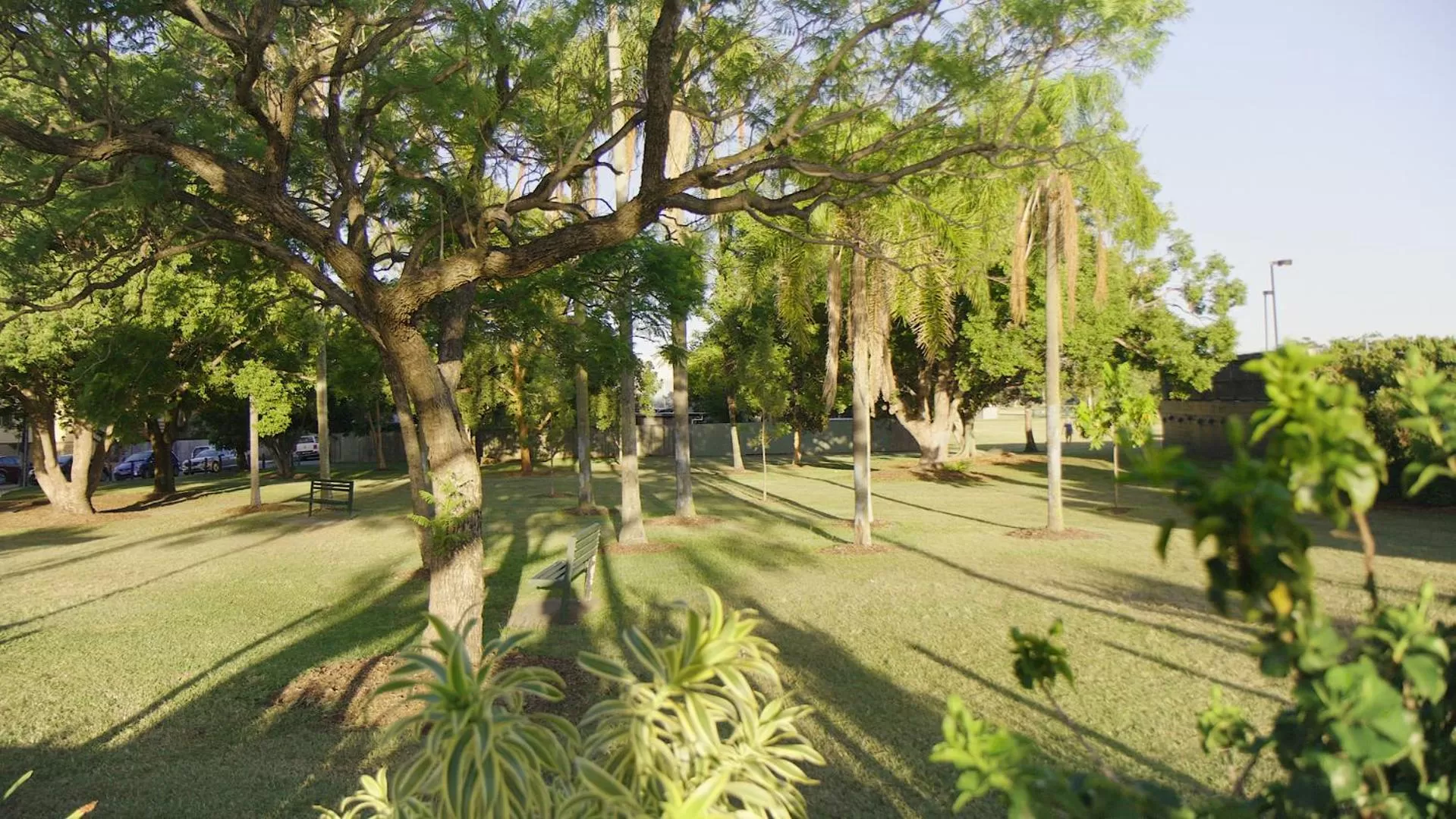 Spring in City Star Lodge