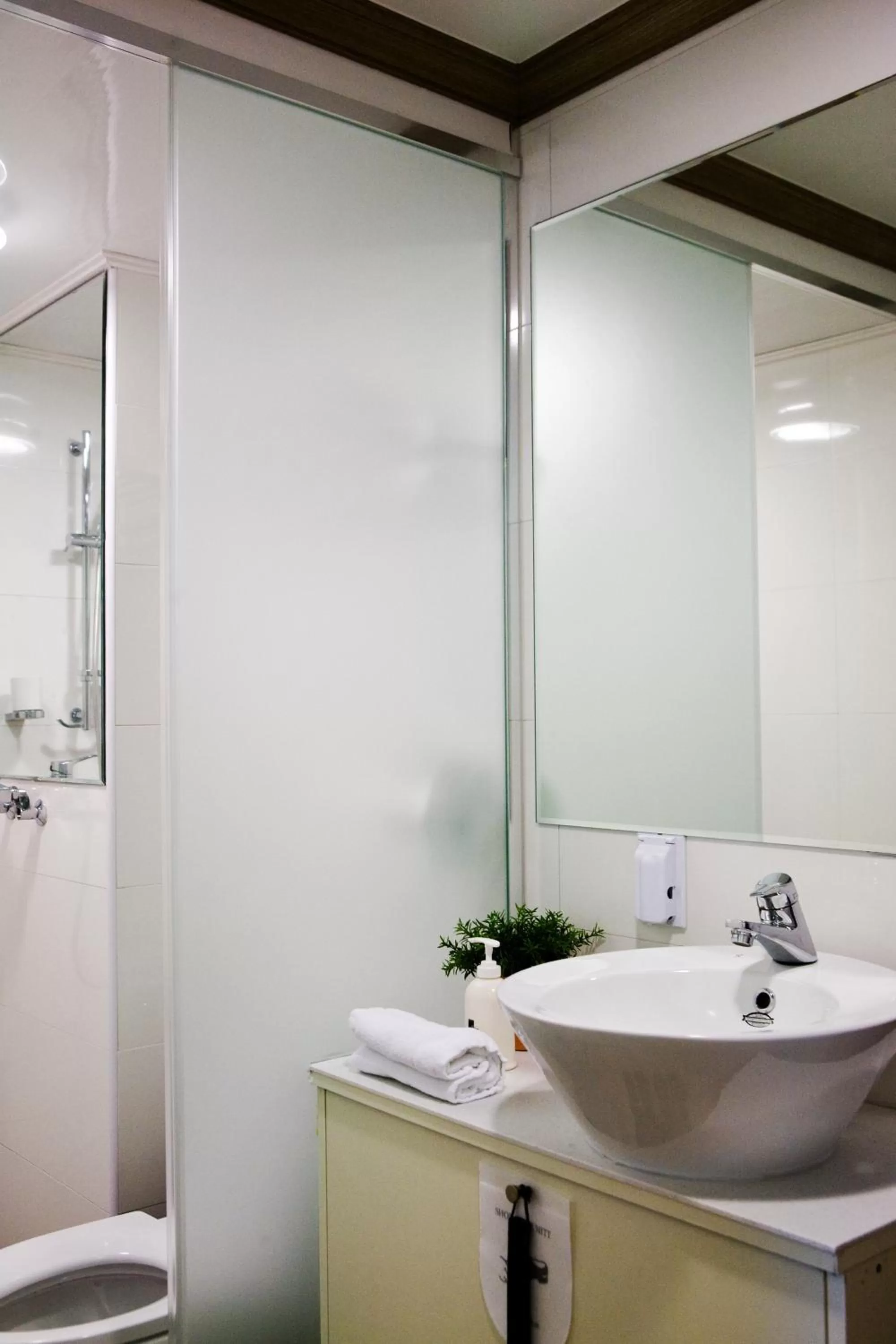 Shower in Hotel Hue Loft