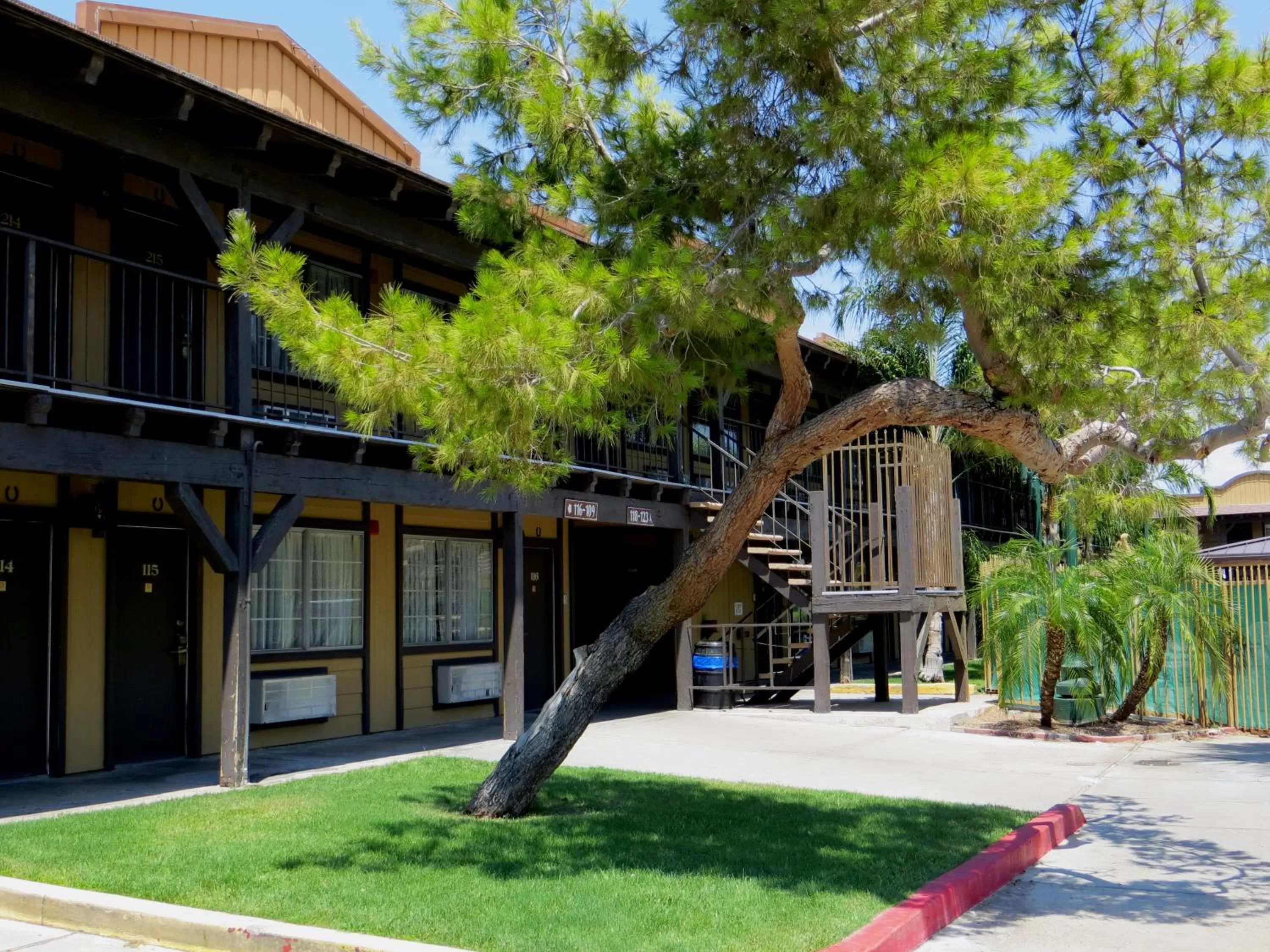 Facade/entrance in The New Pioneer