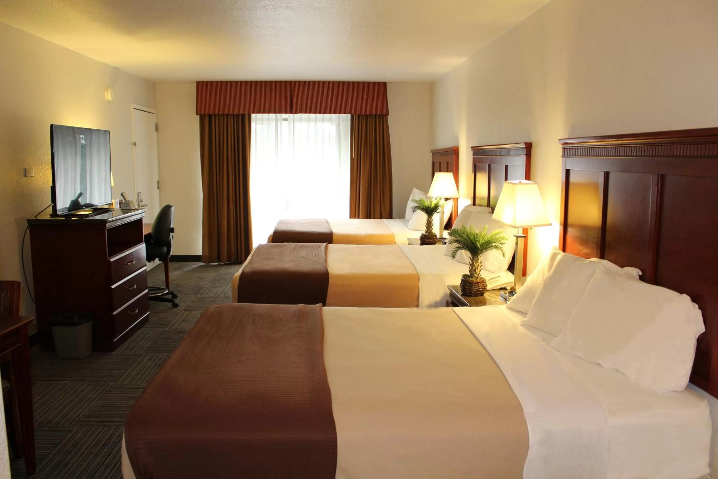 Day, Bed in Rodeway Inn Santa Clara El Camino Real