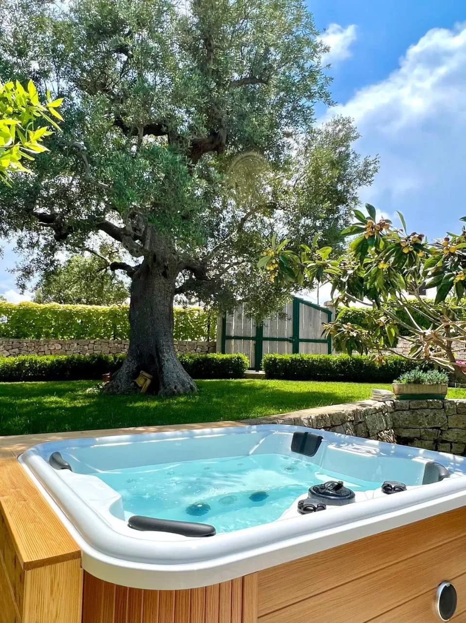 Hot Tub in Il Giardino degli Ulivi