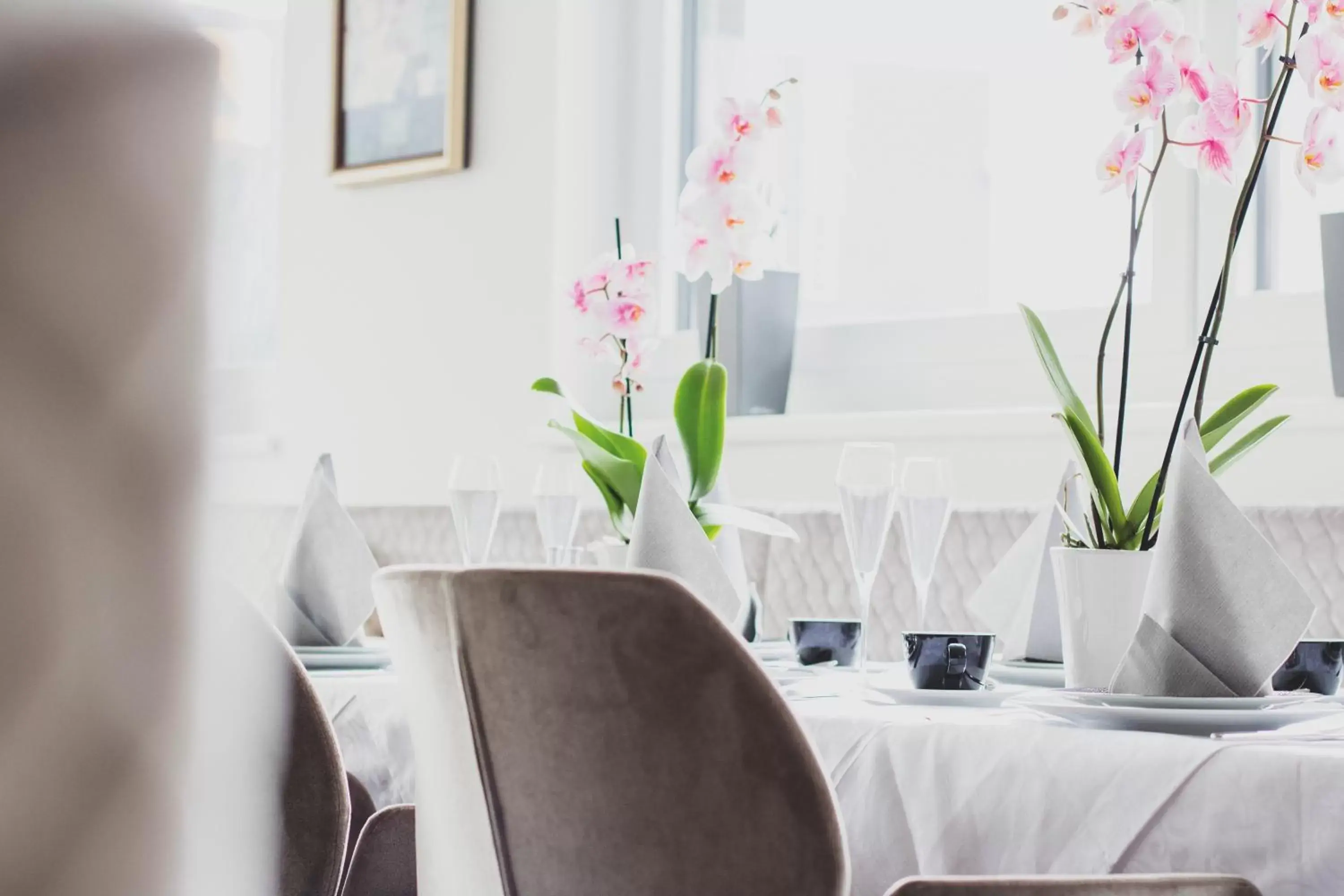 EDELMANNs Hotel EDELMANNs Hotel