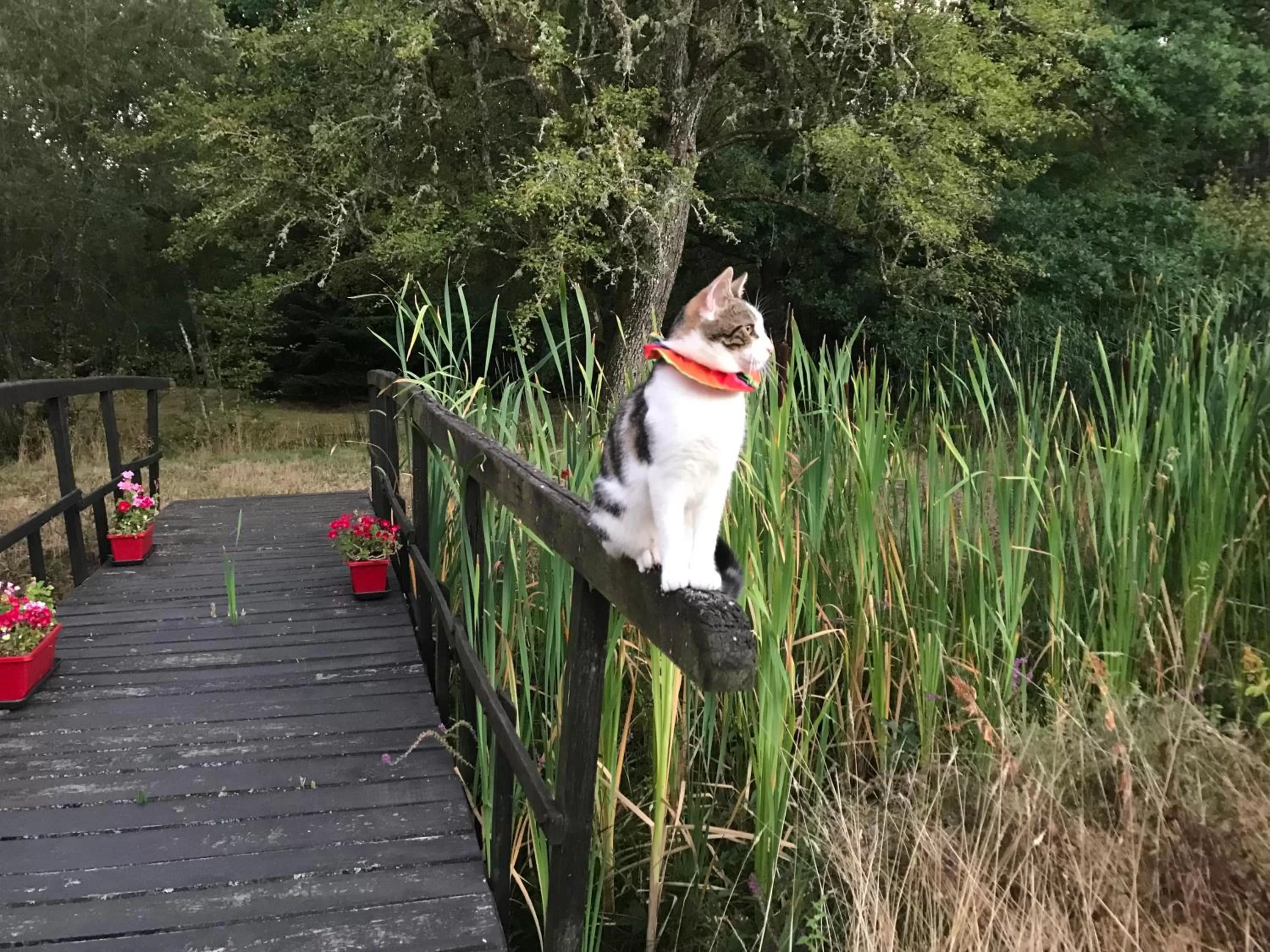 Garden in Ferme Boisquillon