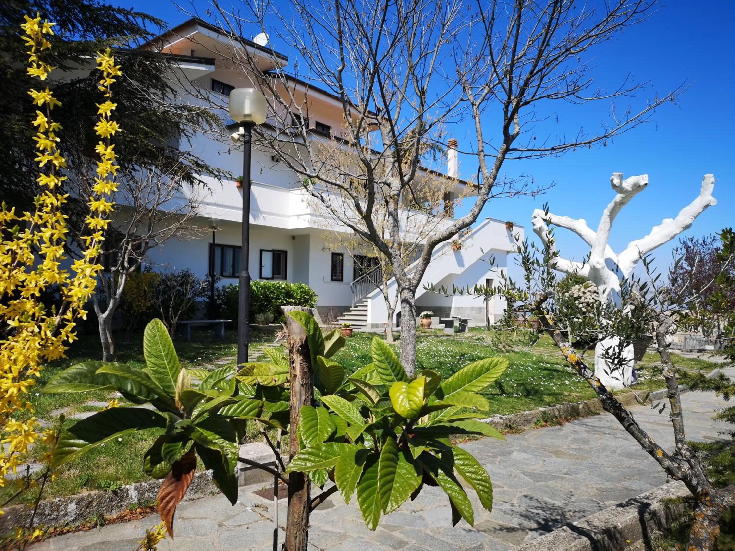 Garden in Gianmaria B&B
