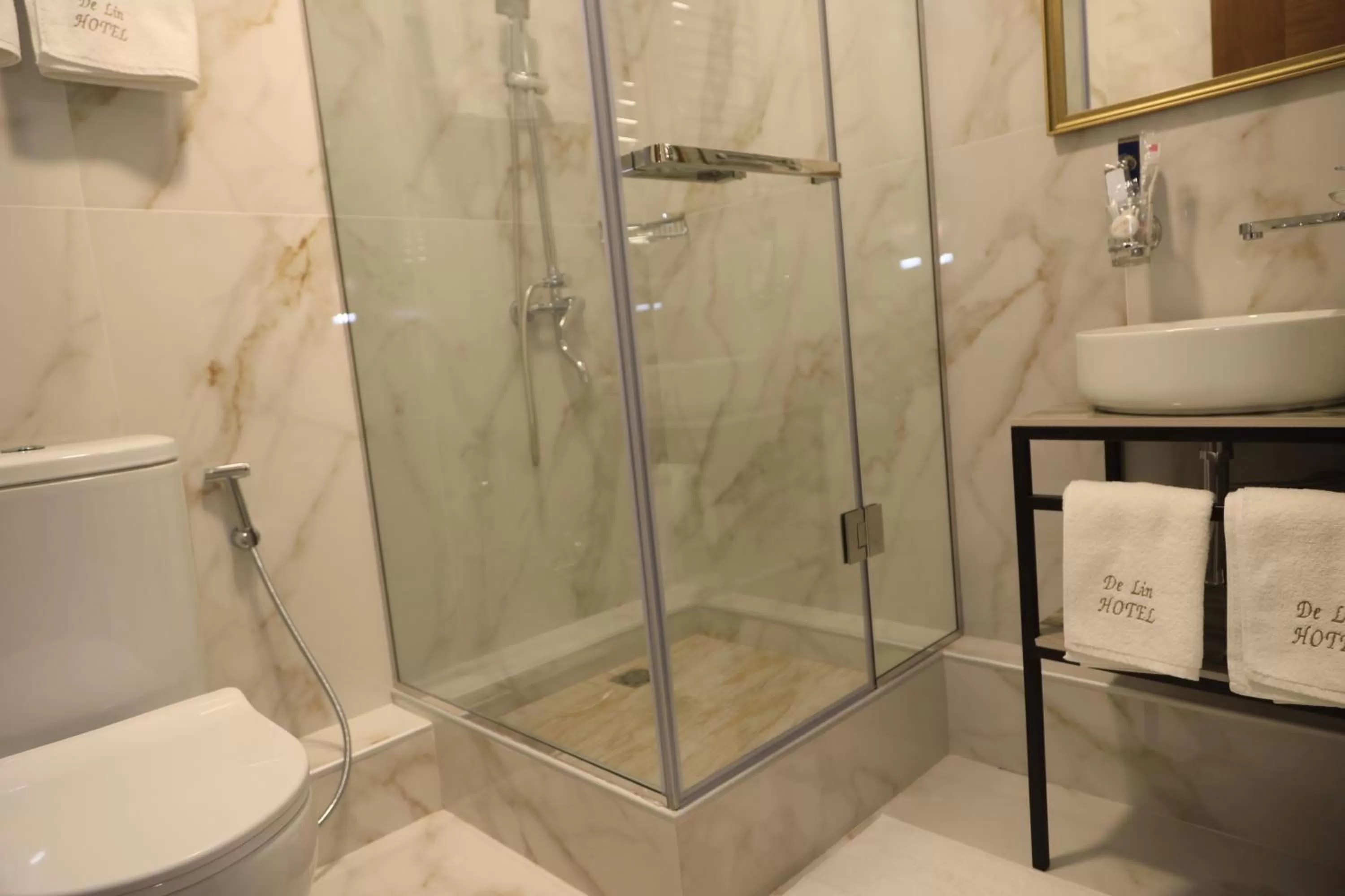 Shower, Bathroom in DeLin Hotel And Tours