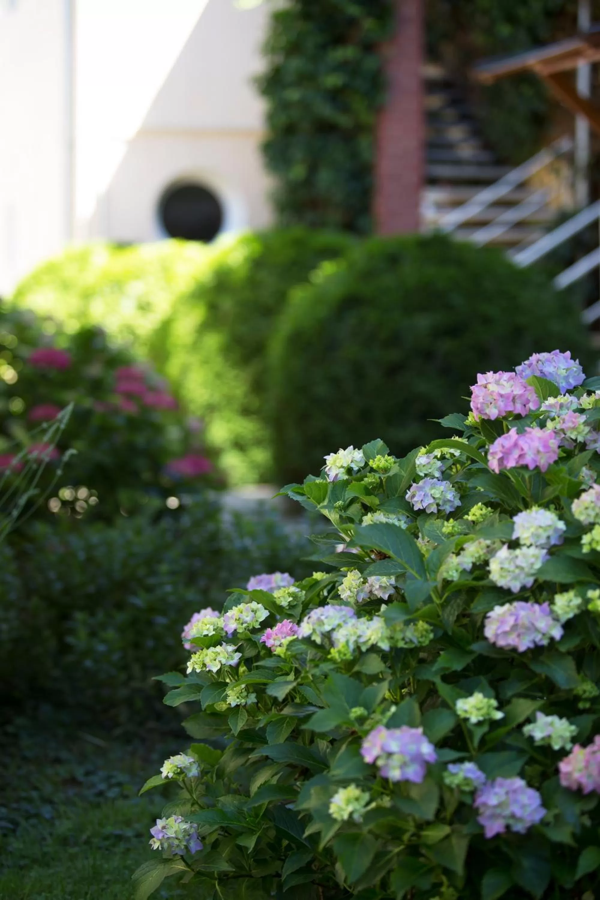 Garden in Hotel Zéta