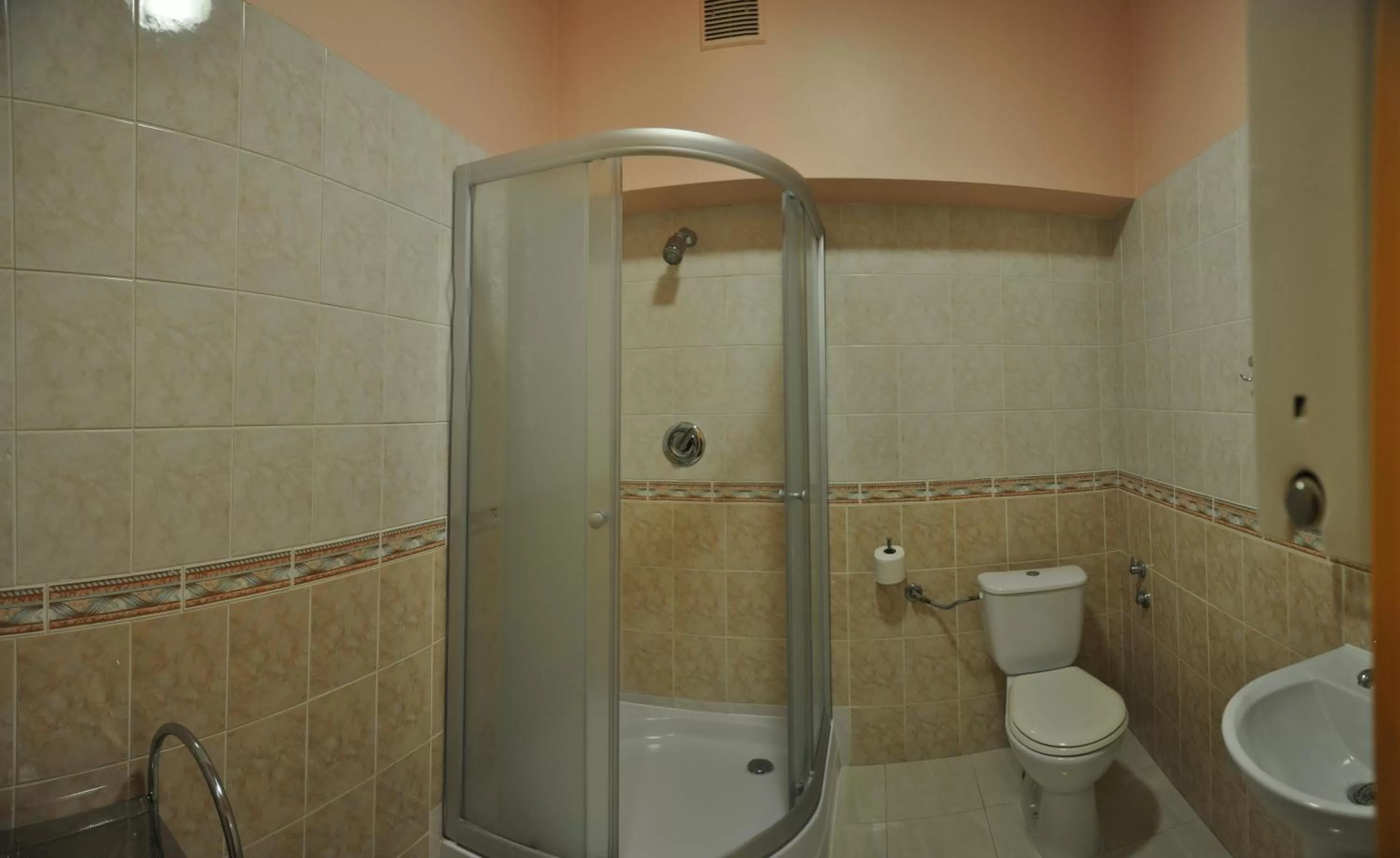 Shower, Bathroom in Hotel Iskra