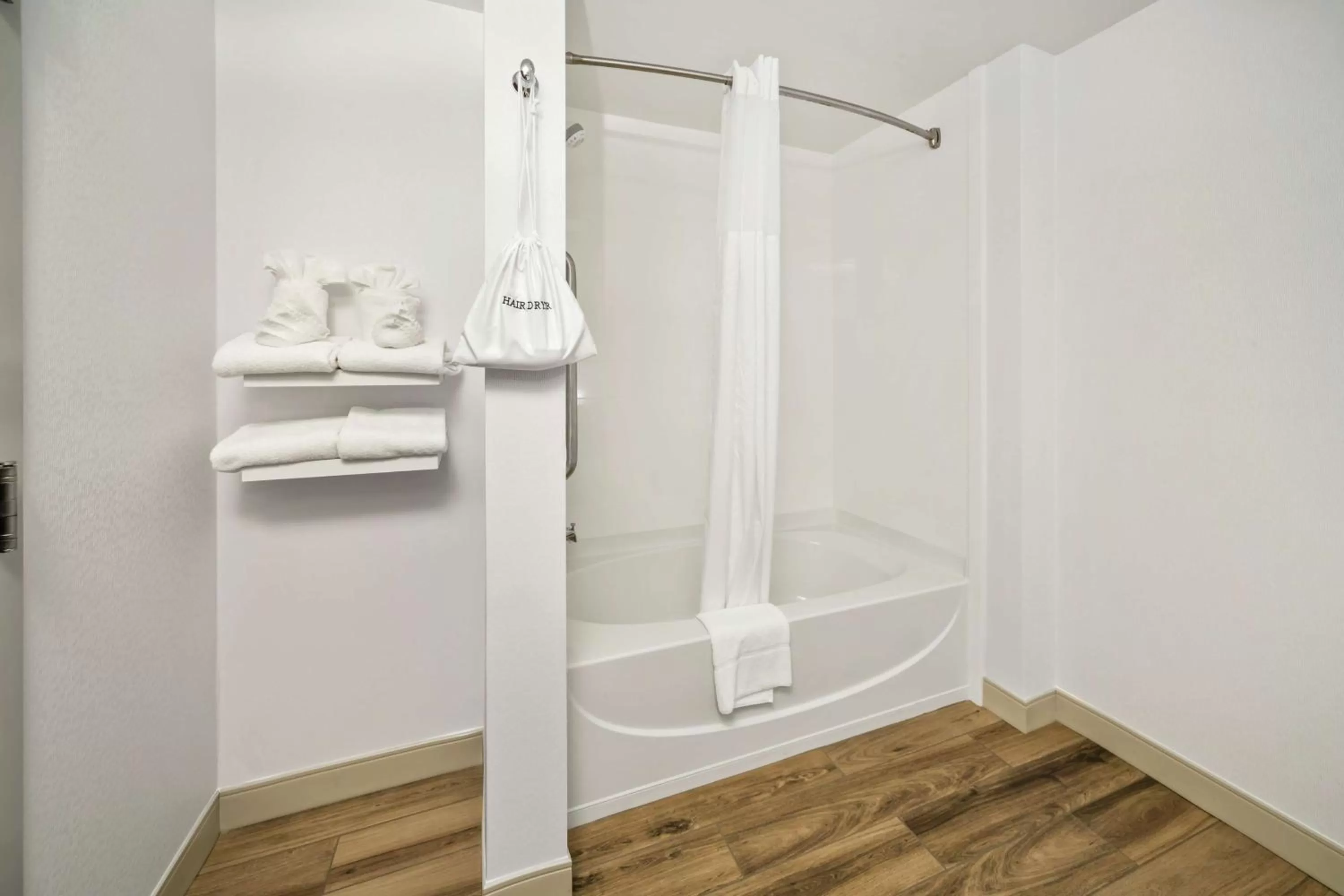 Bathroom in Hampton Inn Wilson Downtown