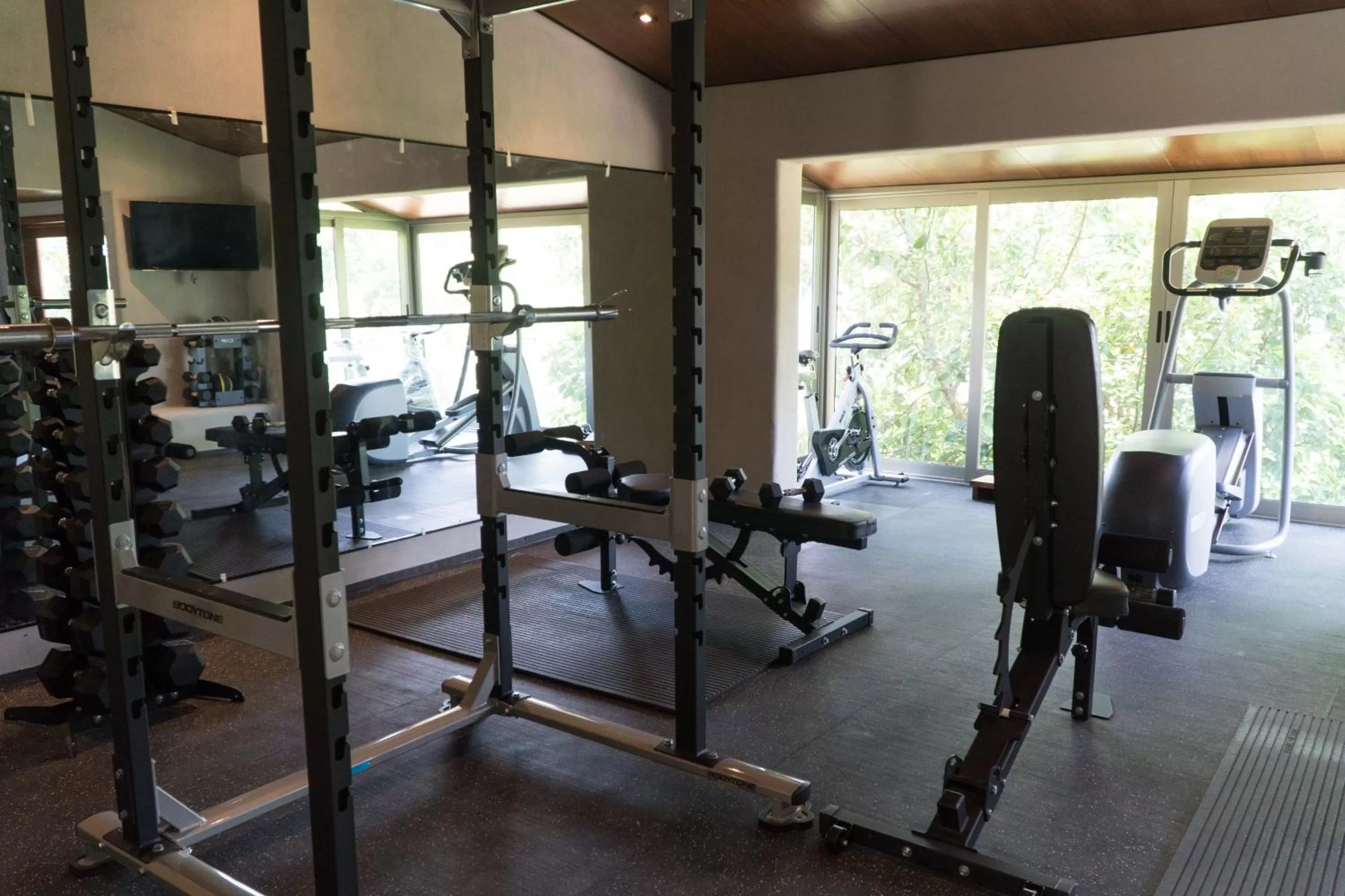 Fitness centre/facilities in Gamma Monterrey Rincon de Santiago